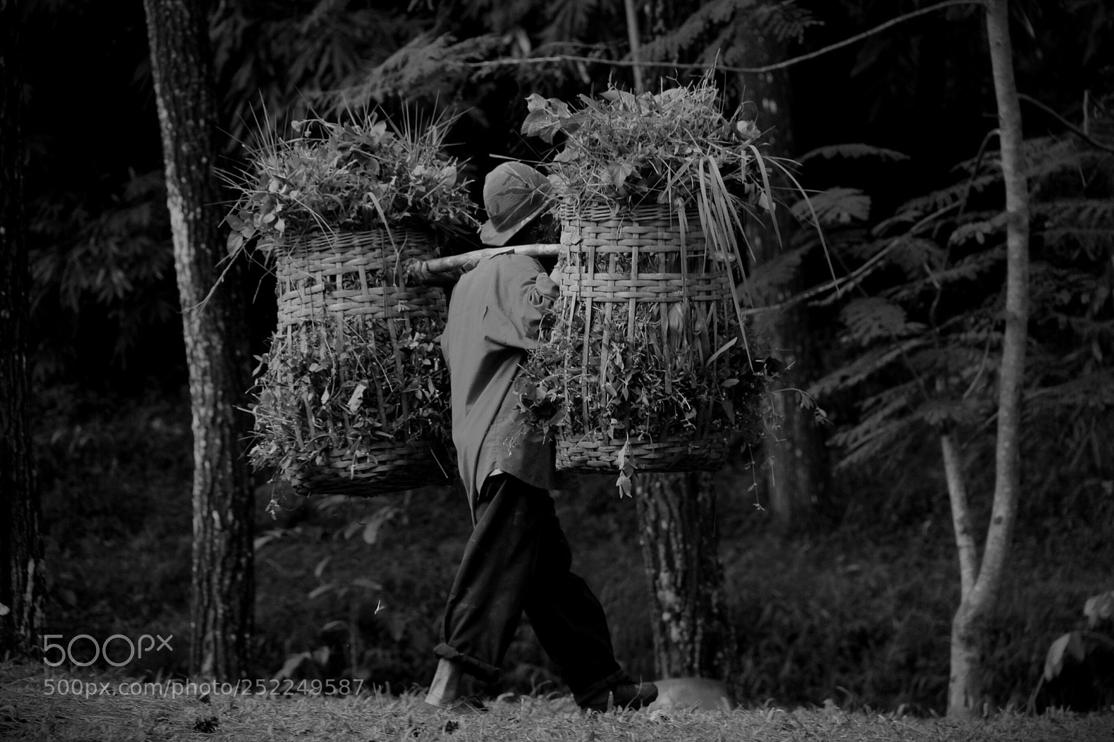 Canon EOS 700D (EOS Rebel T5i / EOS Kiss X7i) sample photo. Worker photography