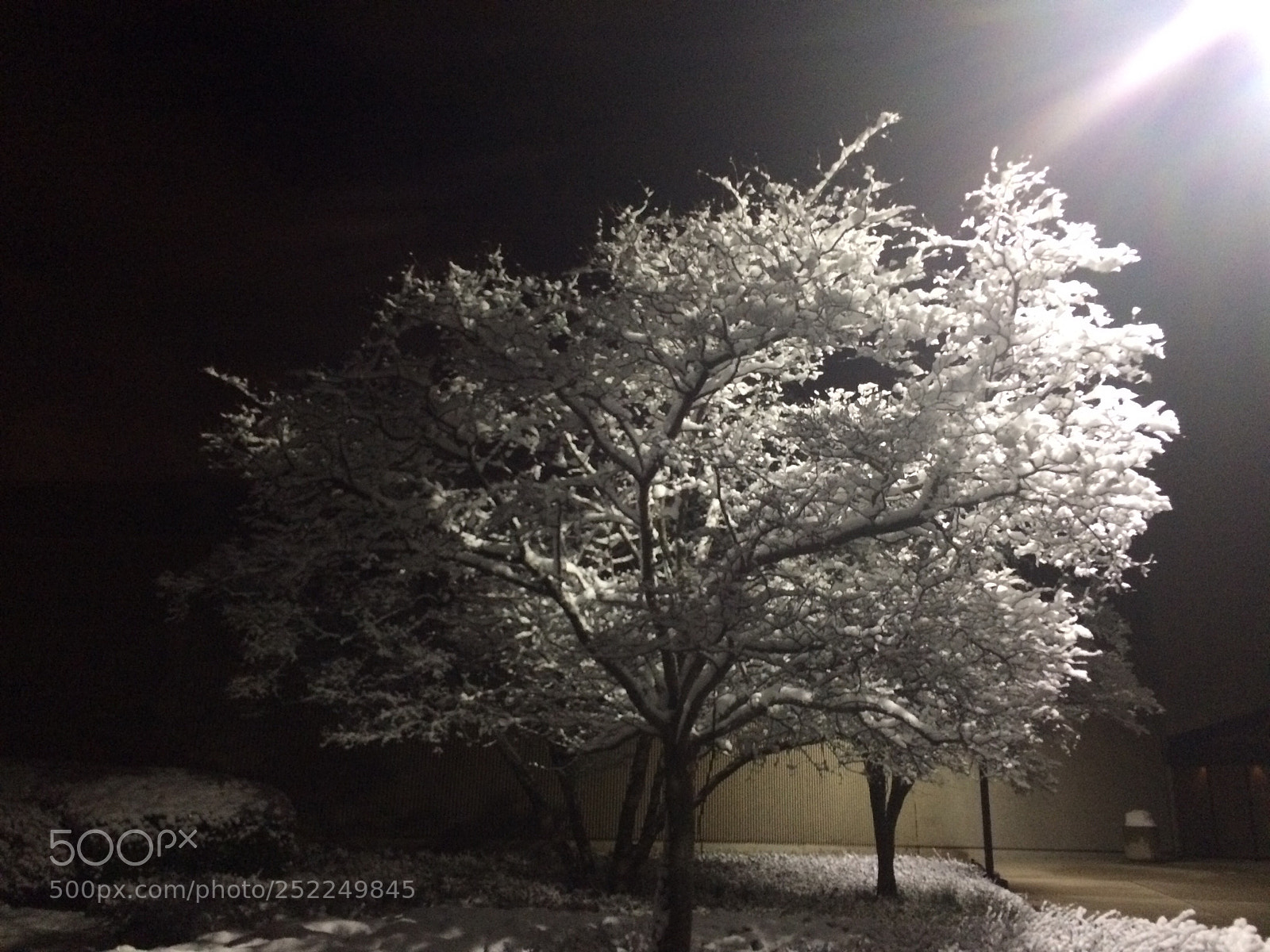 Apple iPhone 5s sample photo. Leaning towards the light  photography