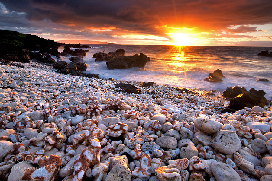 Canon EOS-1Ds Mark III sample photo. Sunset on beach with photography