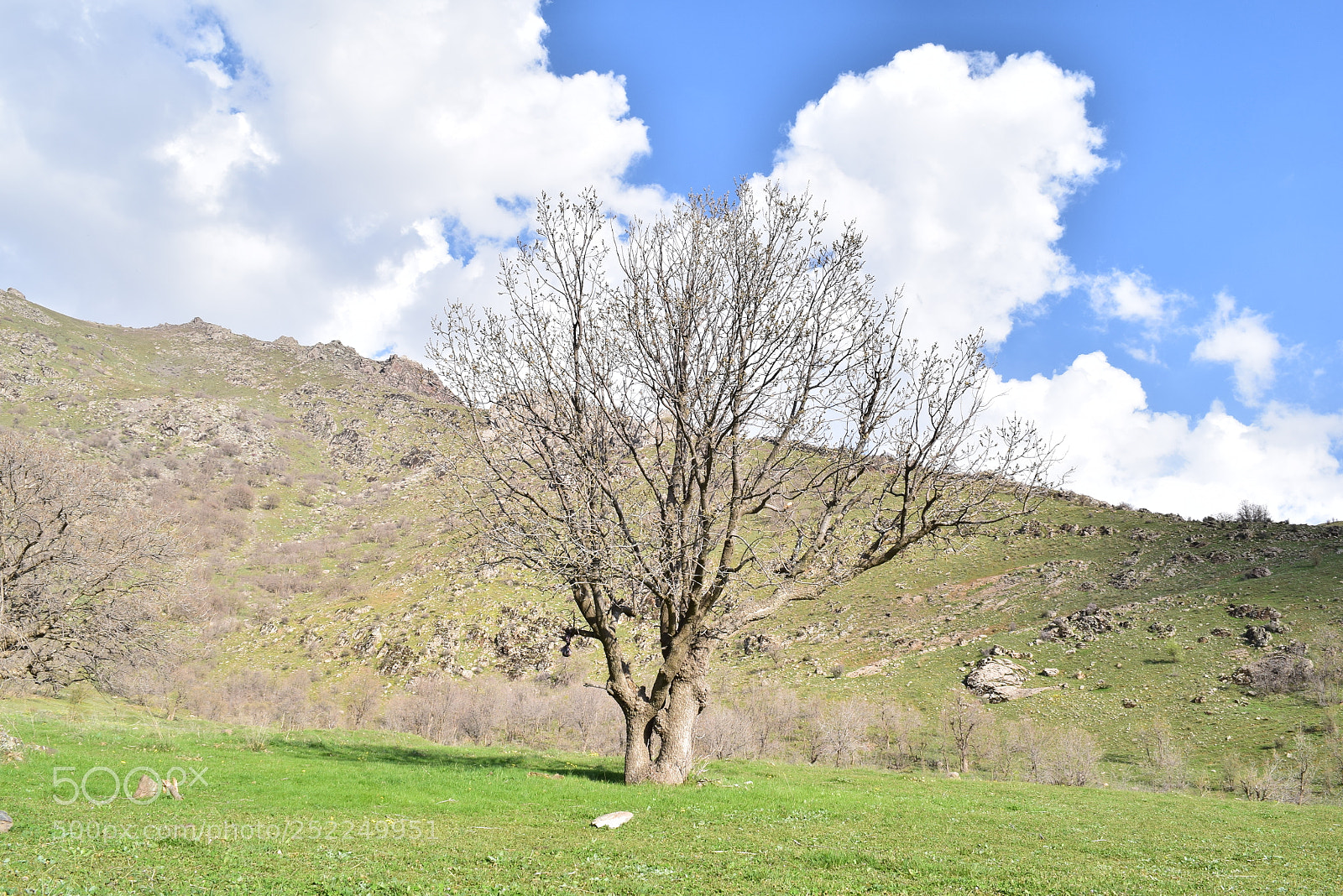 Nikon D5300 sample photo. Untitled photography