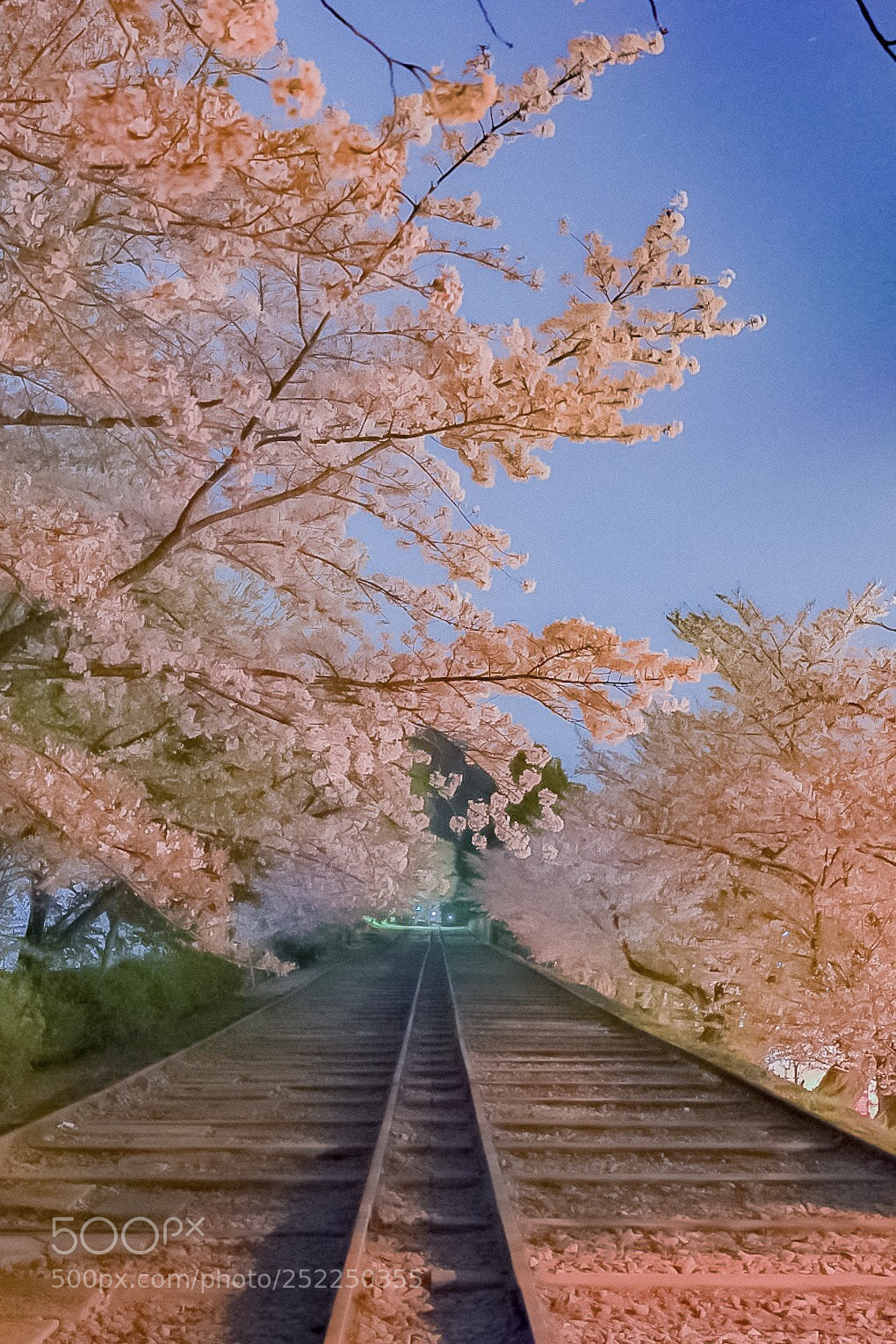 Nikon D7200 sample photo. 蹴上インクライン photography
