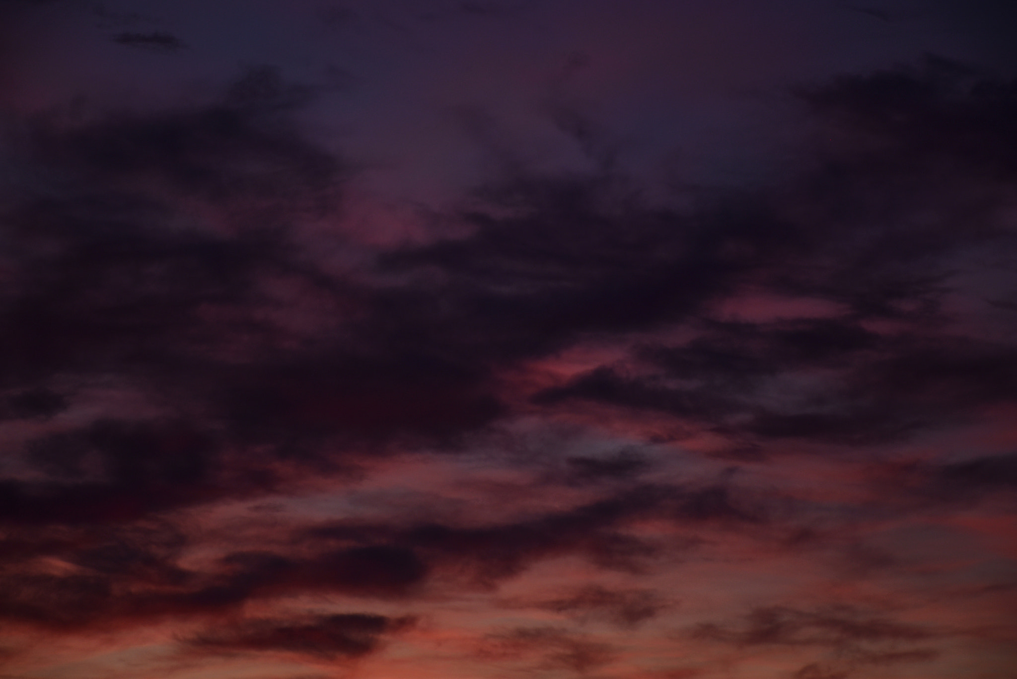 Nikon D5500 sample photo. Spectrum photography
