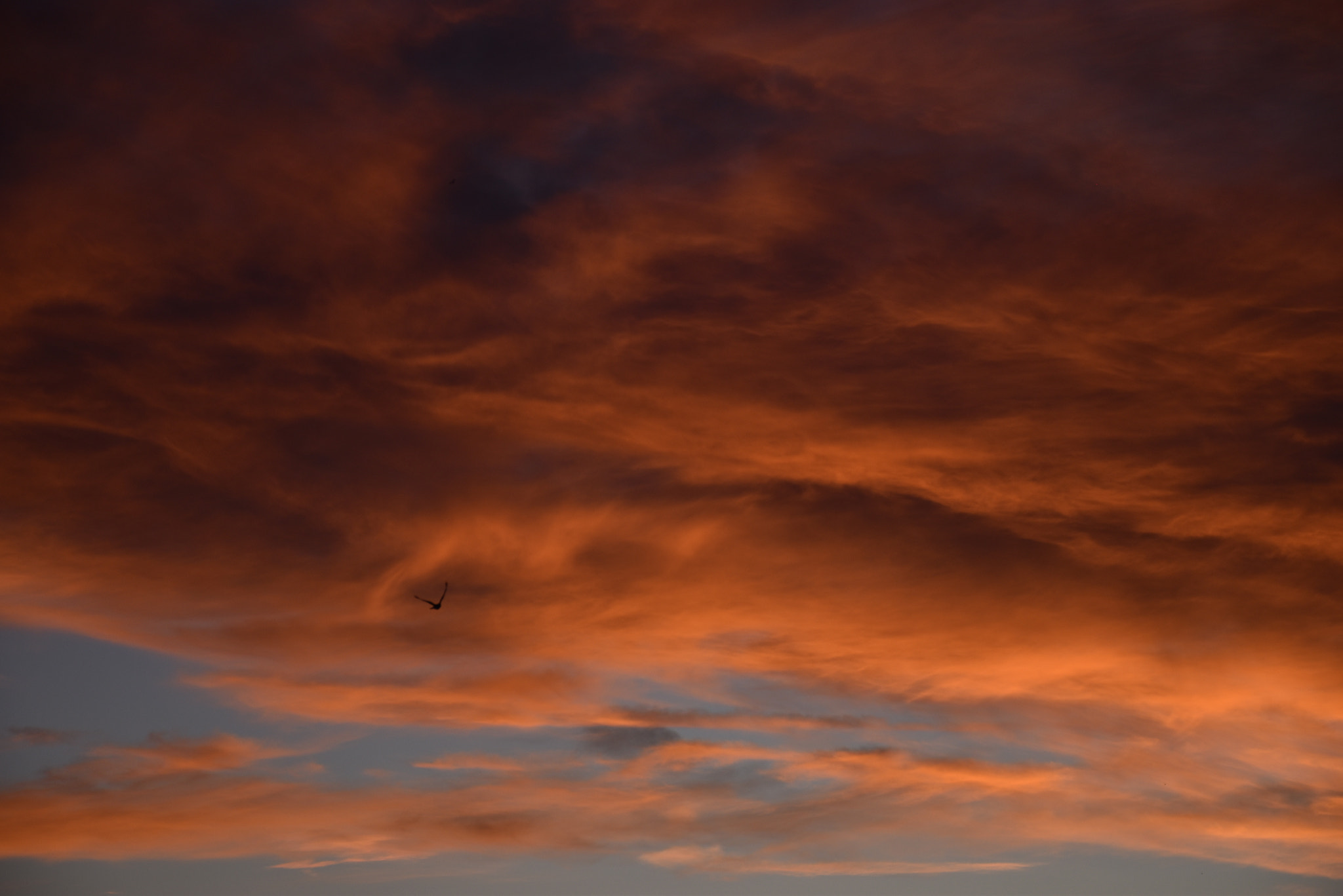 Nikon D5500 sample photo. Once again photography