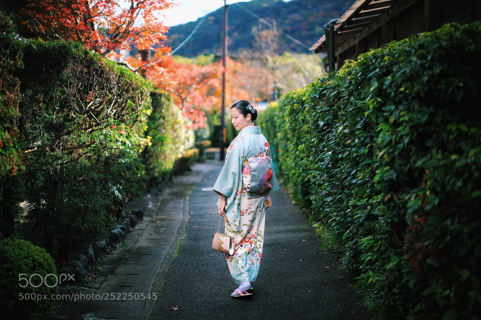 Canon EOS 5D Mark II sample photo. Soft kimono picture photography