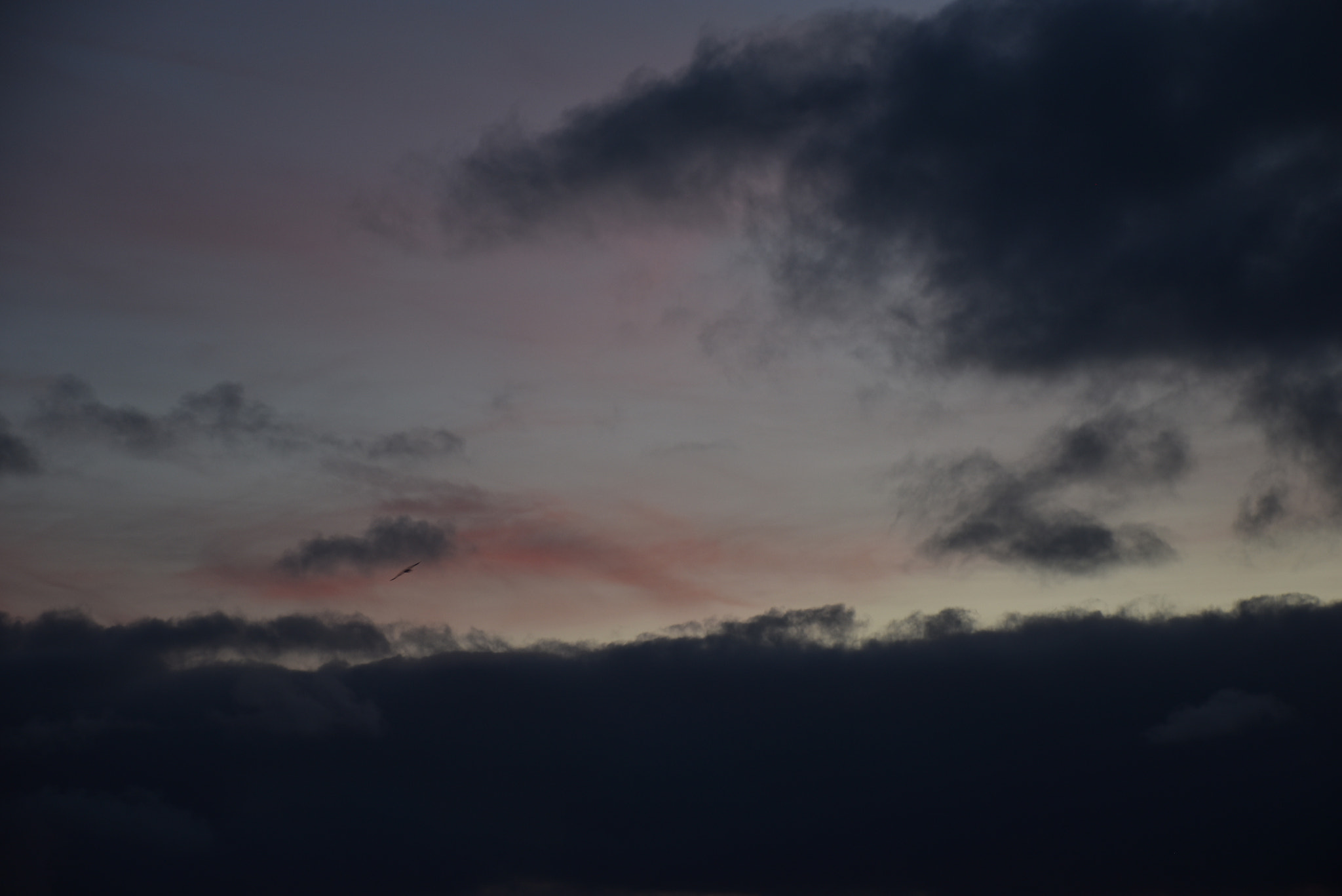 Nikon D5500 sample photo. Breathe photography