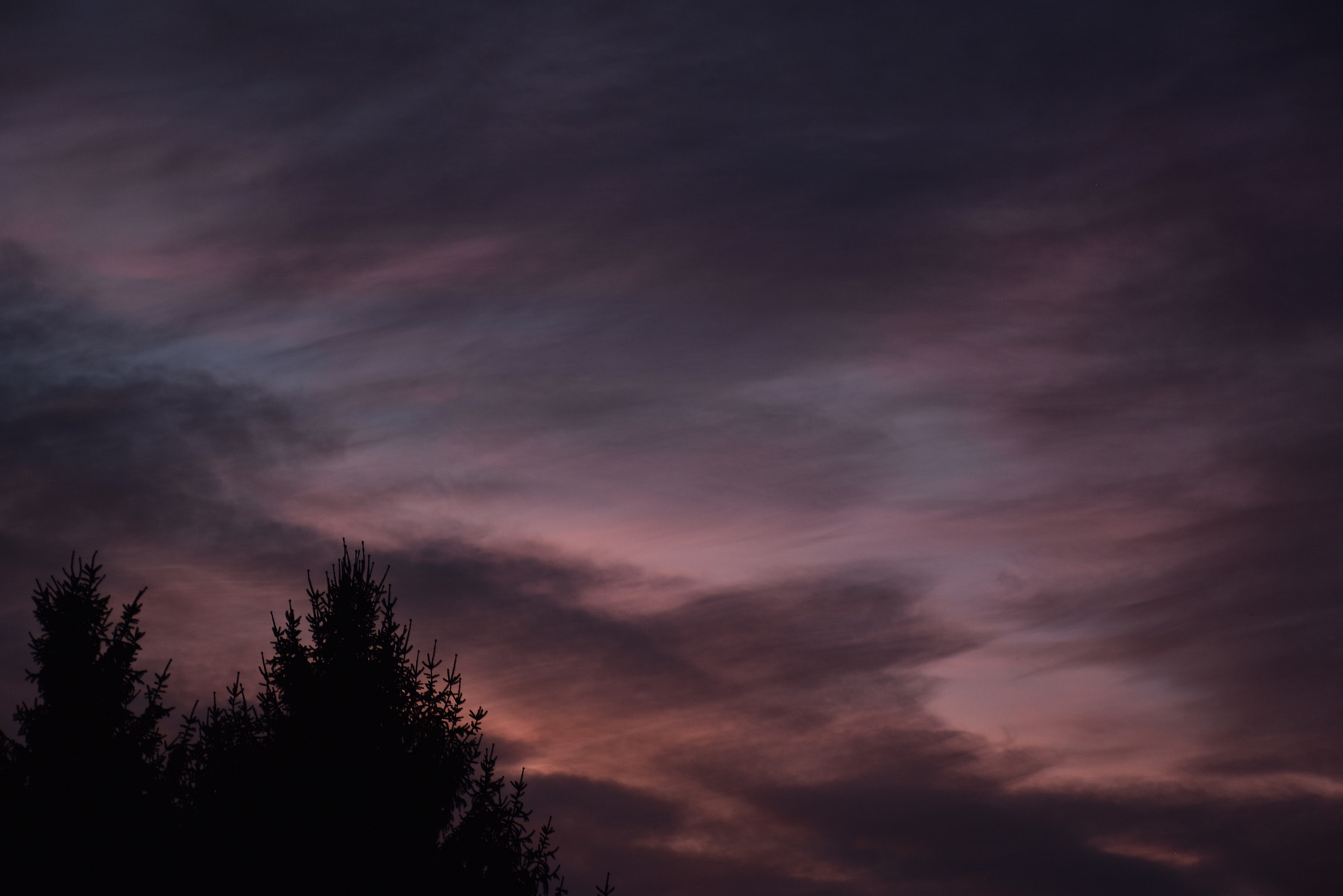 Nikon D5500 sample photo. Paint me the sky photography