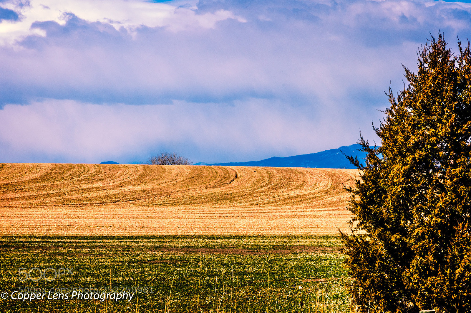 Nikon D500 sample photo. Plowed photography