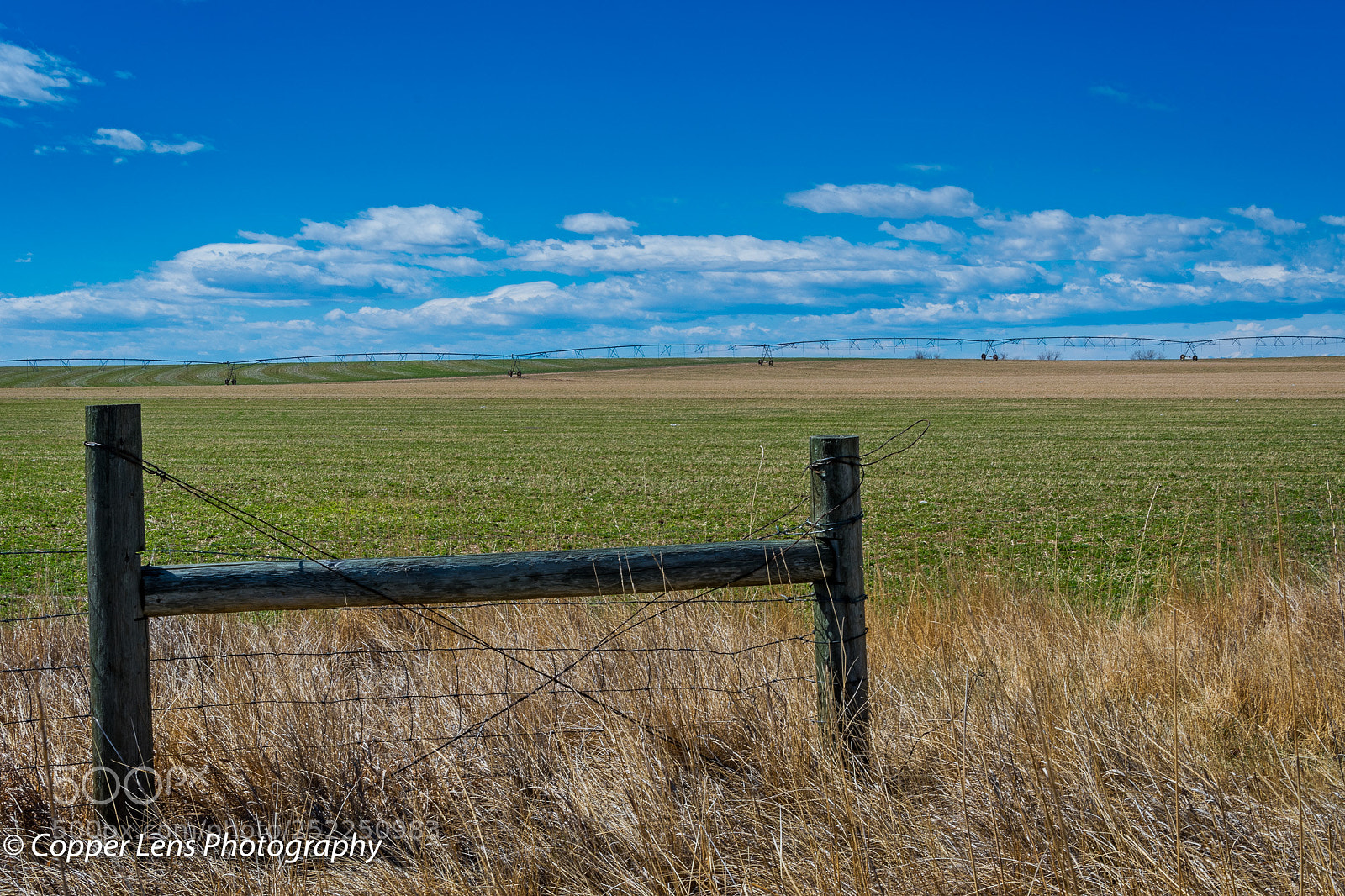 Nikon D500 sample photo. Wide open spaces photography
