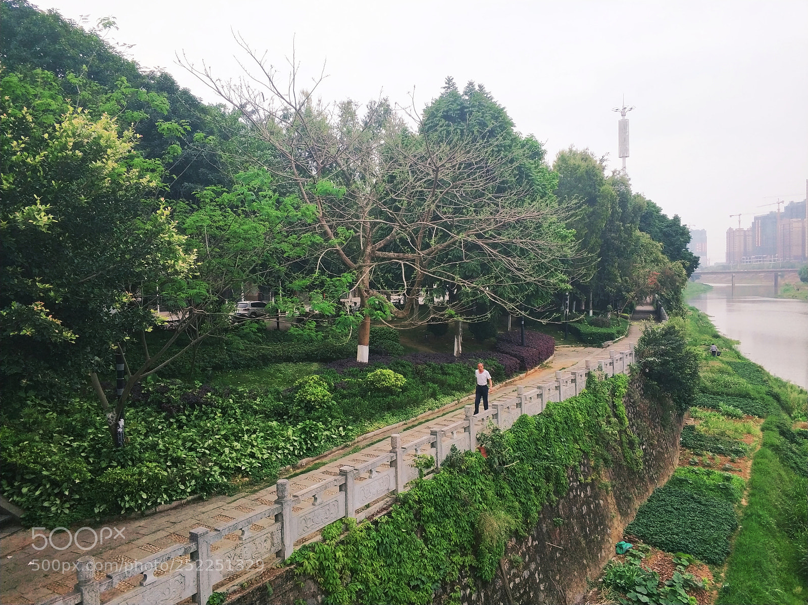 Xiaomi MI6 sample photo. Untitled photography