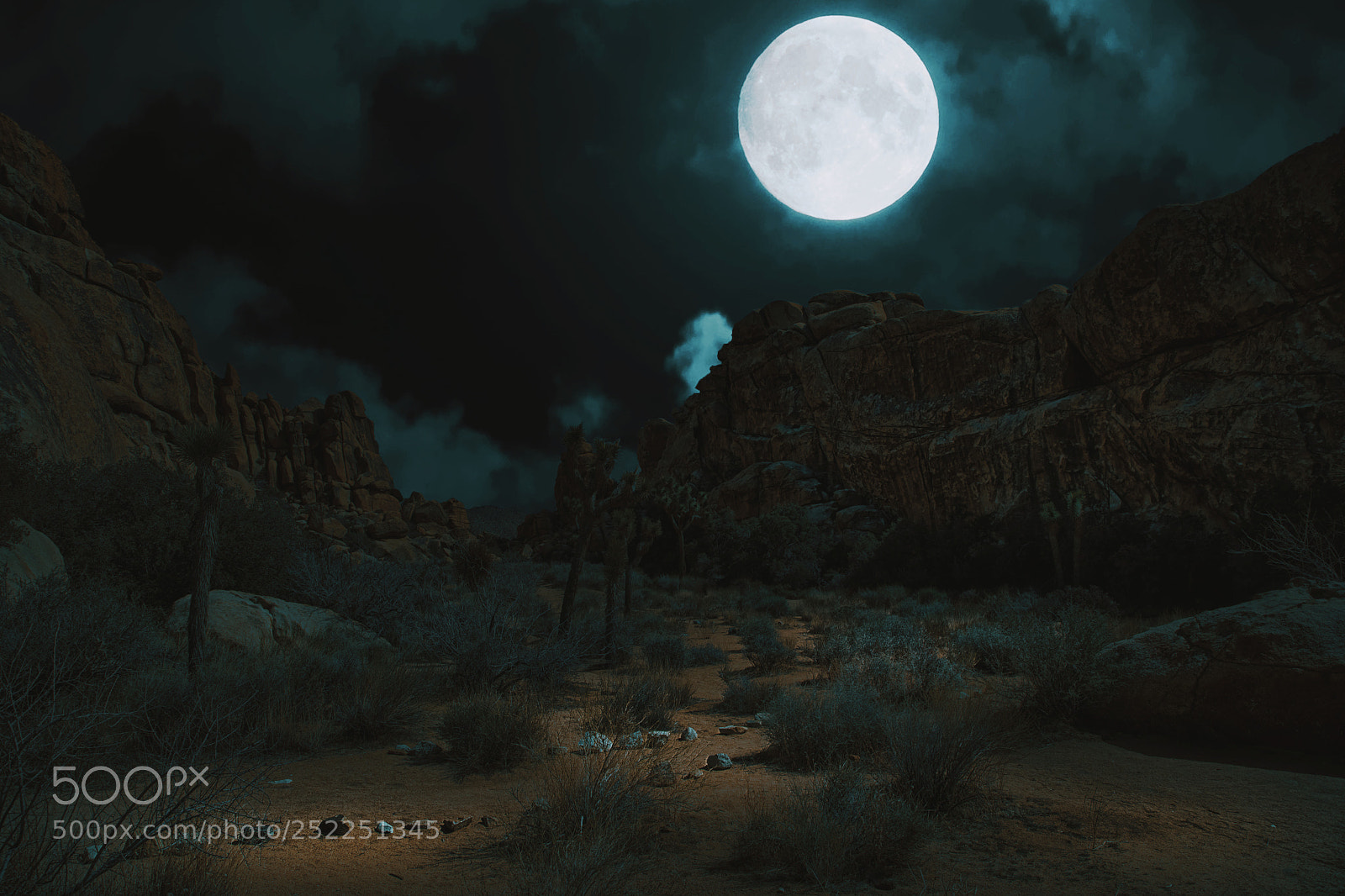 Canon EOS 5D Mark IV sample photo. Into the night by photography