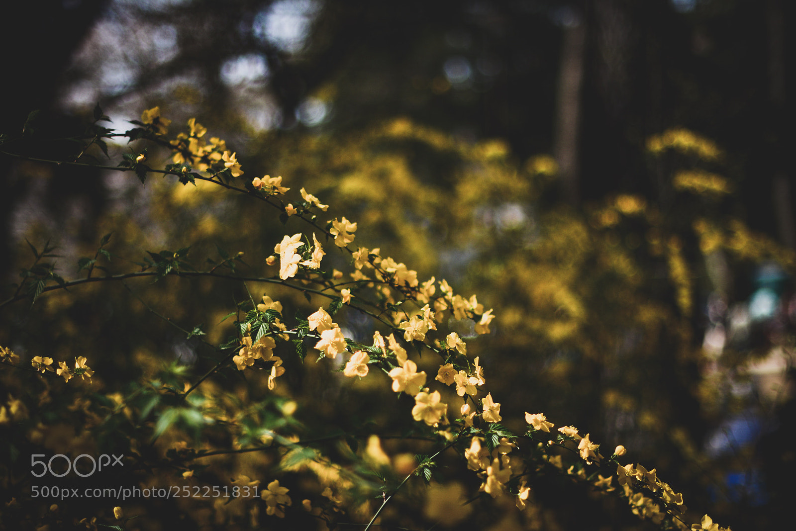 Nikon D7100 sample photo. Untitled photography