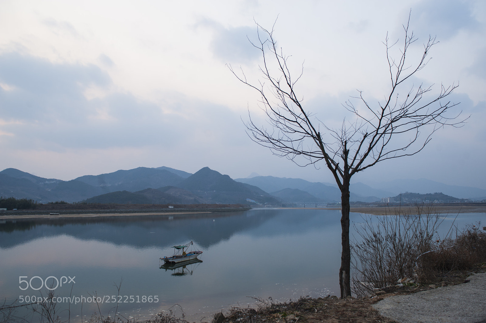 Nikon D700 sample photo. Treeboat photography