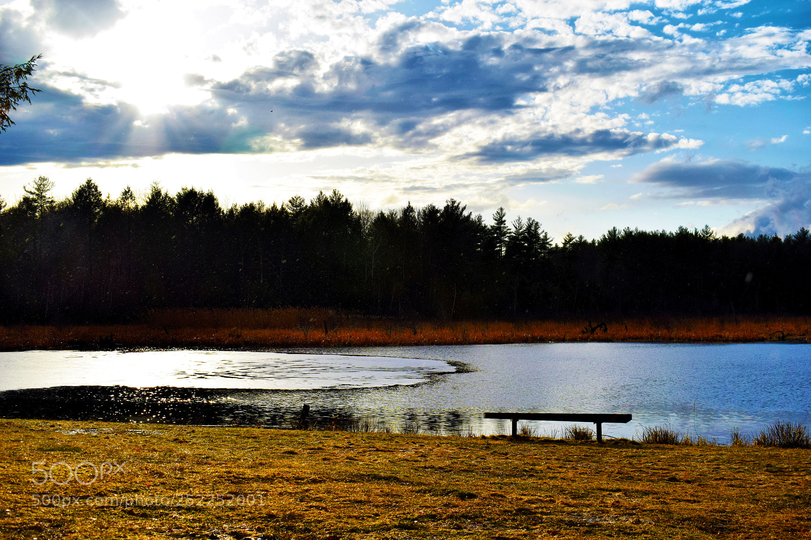 Nikon D3300 sample photo. Fire pond photography