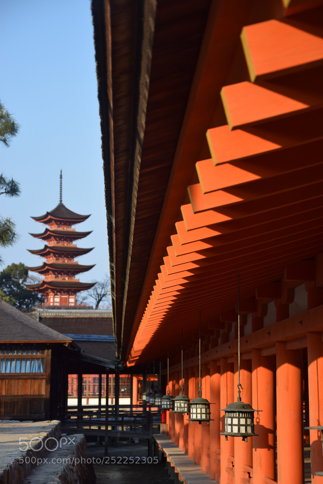 Nikon D5300 sample photo. Miyajima photography