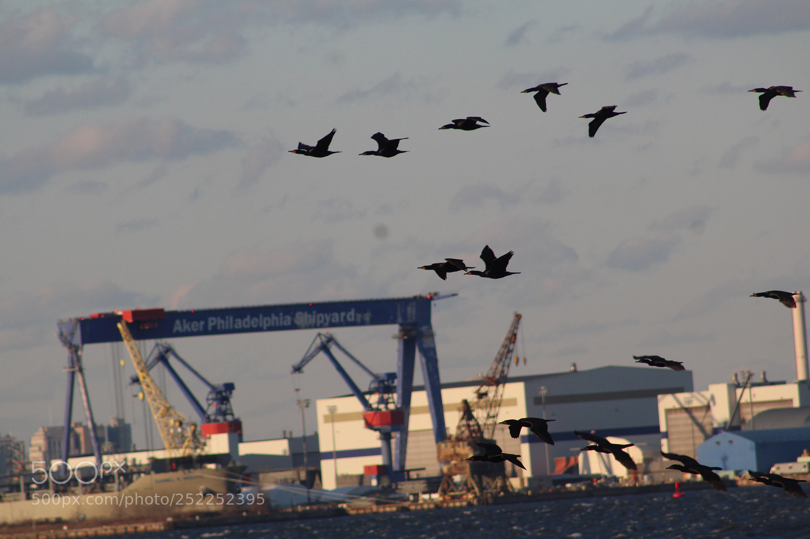 Canon EOS 1300D (EOS Rebel T6 / EOS Kiss X80) sample photo. Birds flying over river photography
