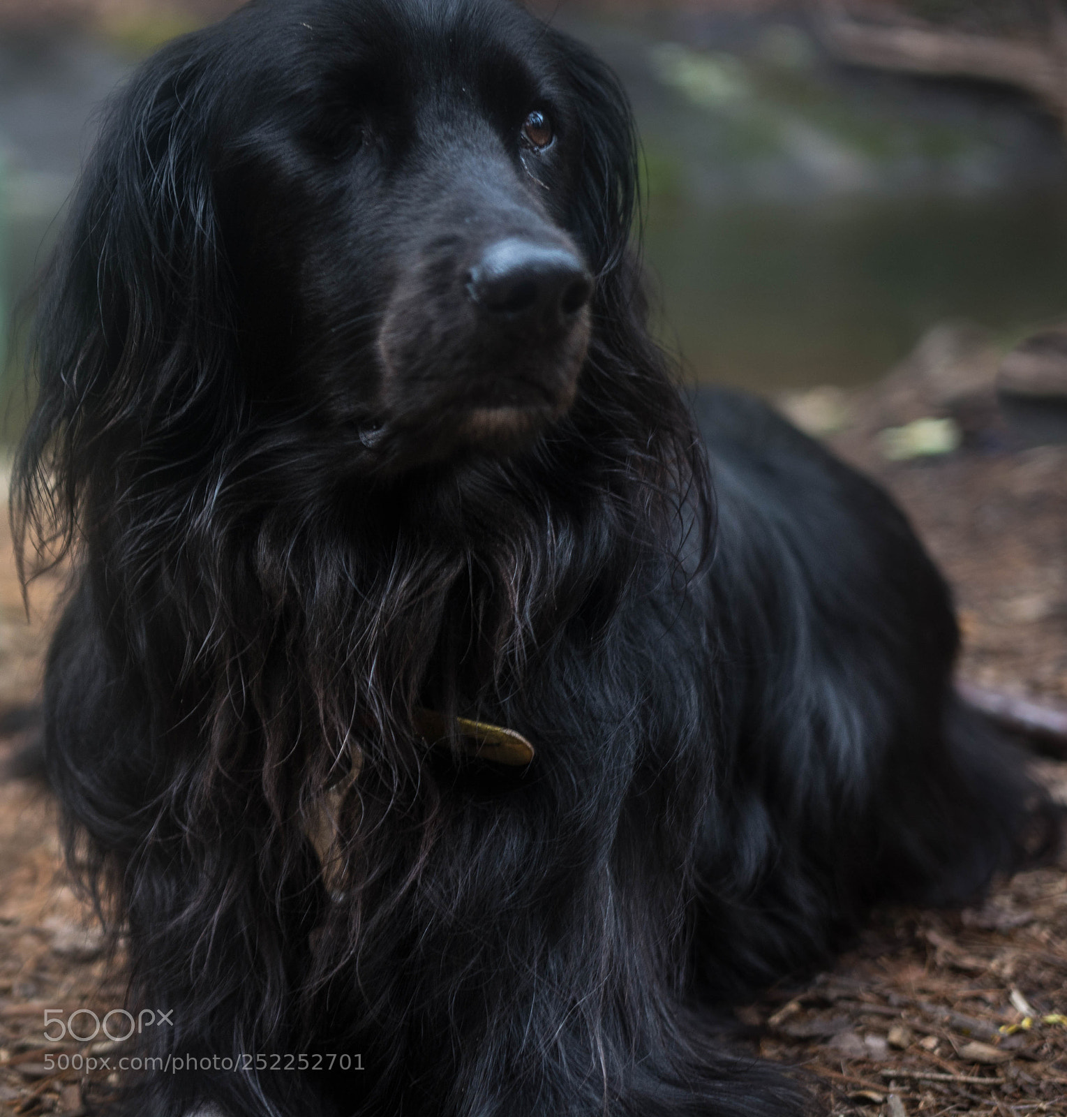 Nikon D5200 sample photo. Wink photography