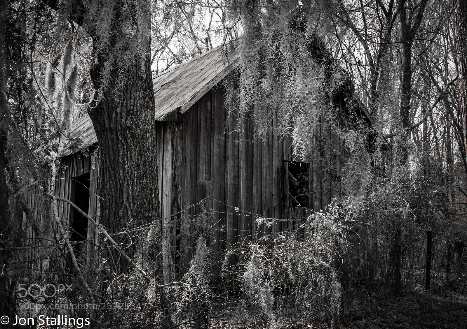 Nikon D3000 sample photo. Hidden barn photography