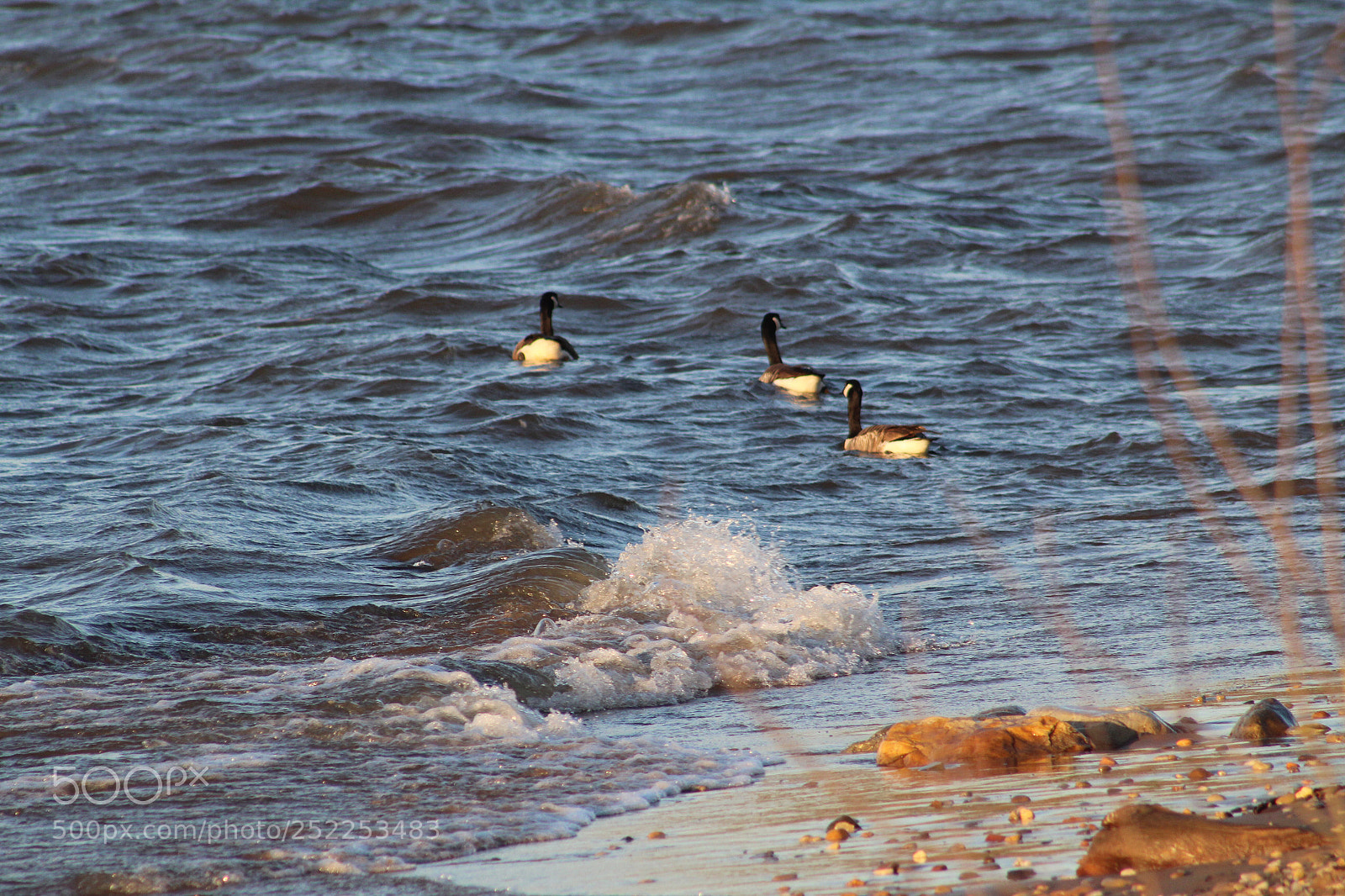 Canon EOS 1300D (EOS Rebel T6 / EOS Kiss X80) sample photo. Waves on river bank photography