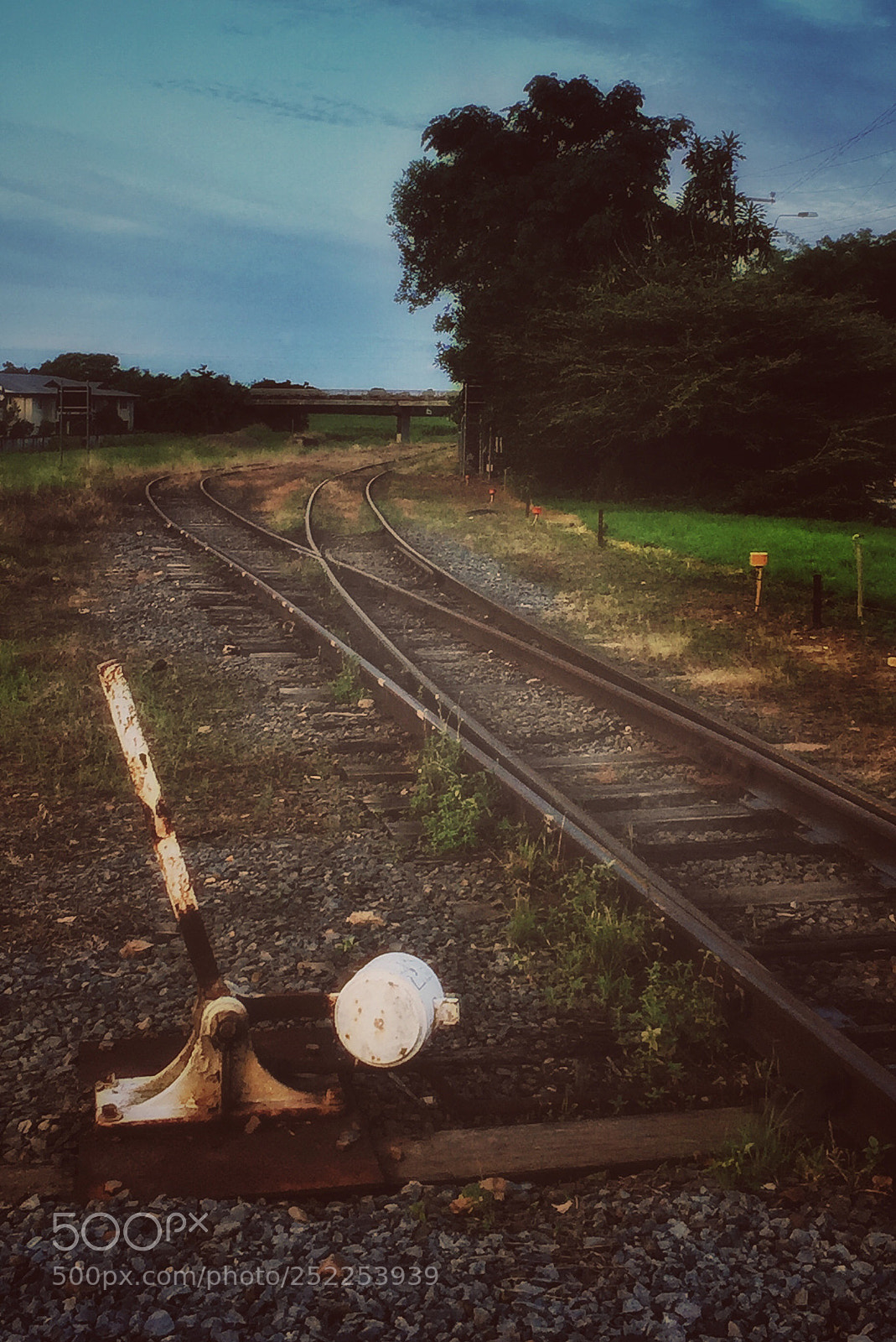 Apple iPhone 6 Plus sample photo. Road? photography