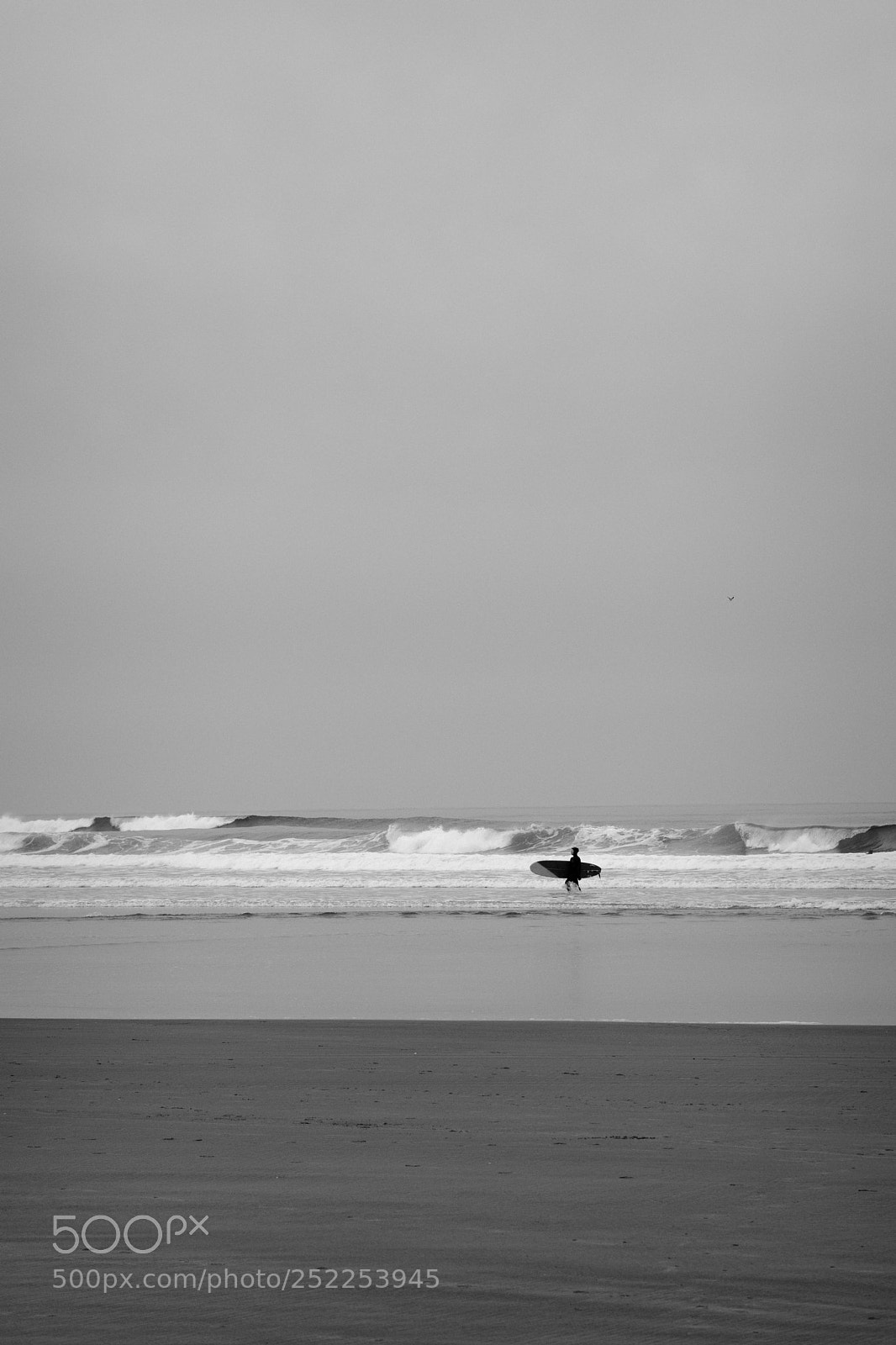 Fujifilm X-T2 sample photo. Surf's up photography