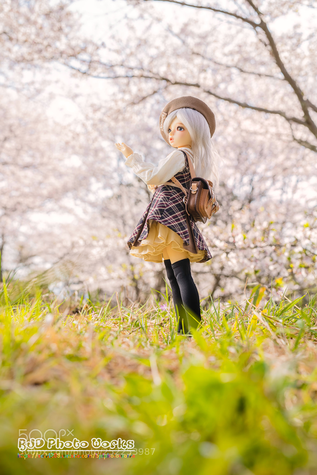 Nikon D850 sample photo. Cherry-colored walking path photography