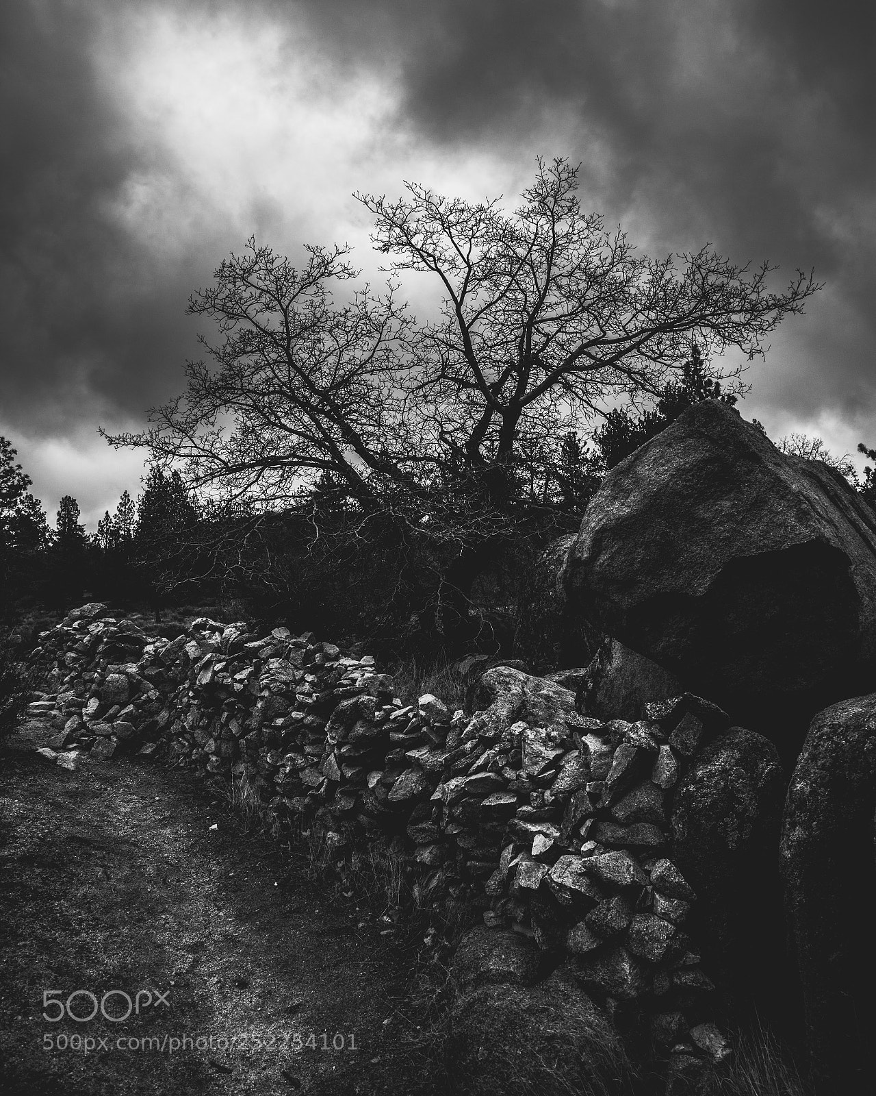 Canon EOS 5D Mark II sample photo. Haunted trail photography