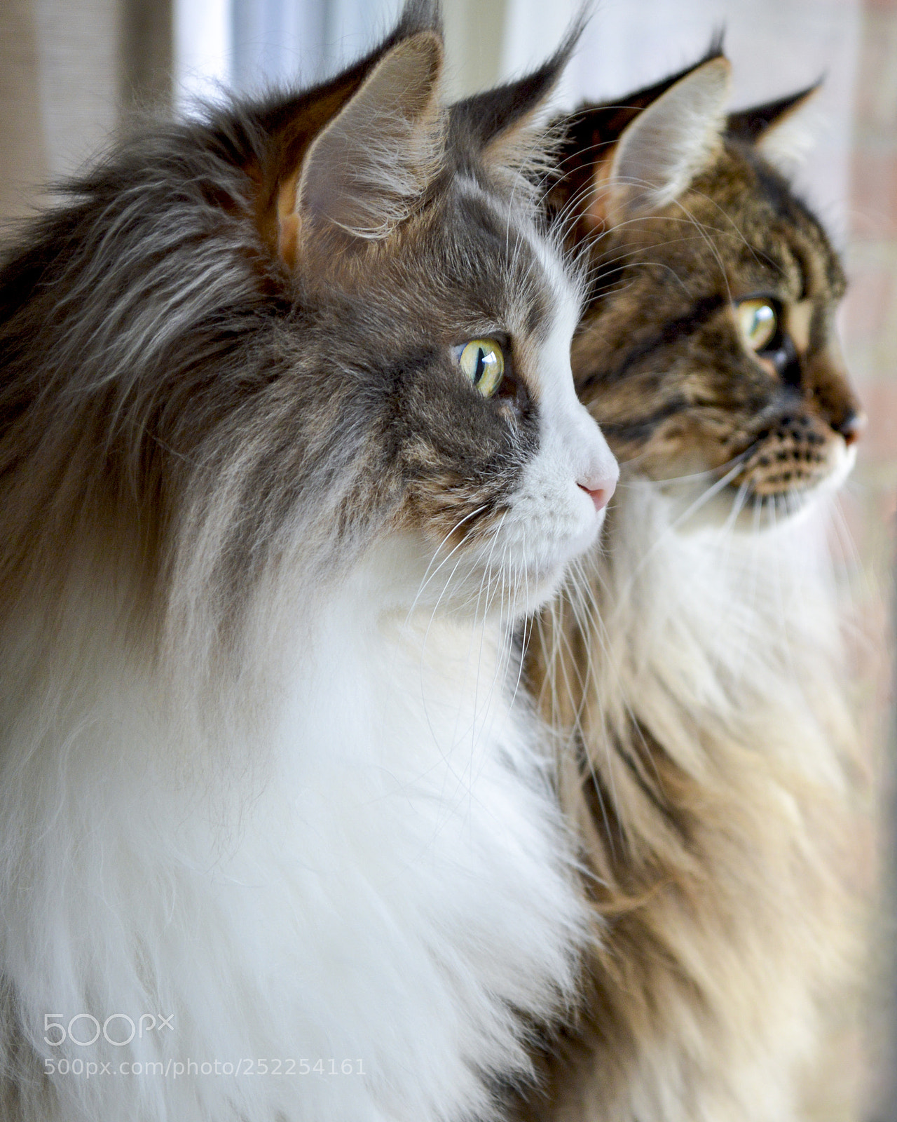 Nikon D3200 sample photo. Flynn & raj photography