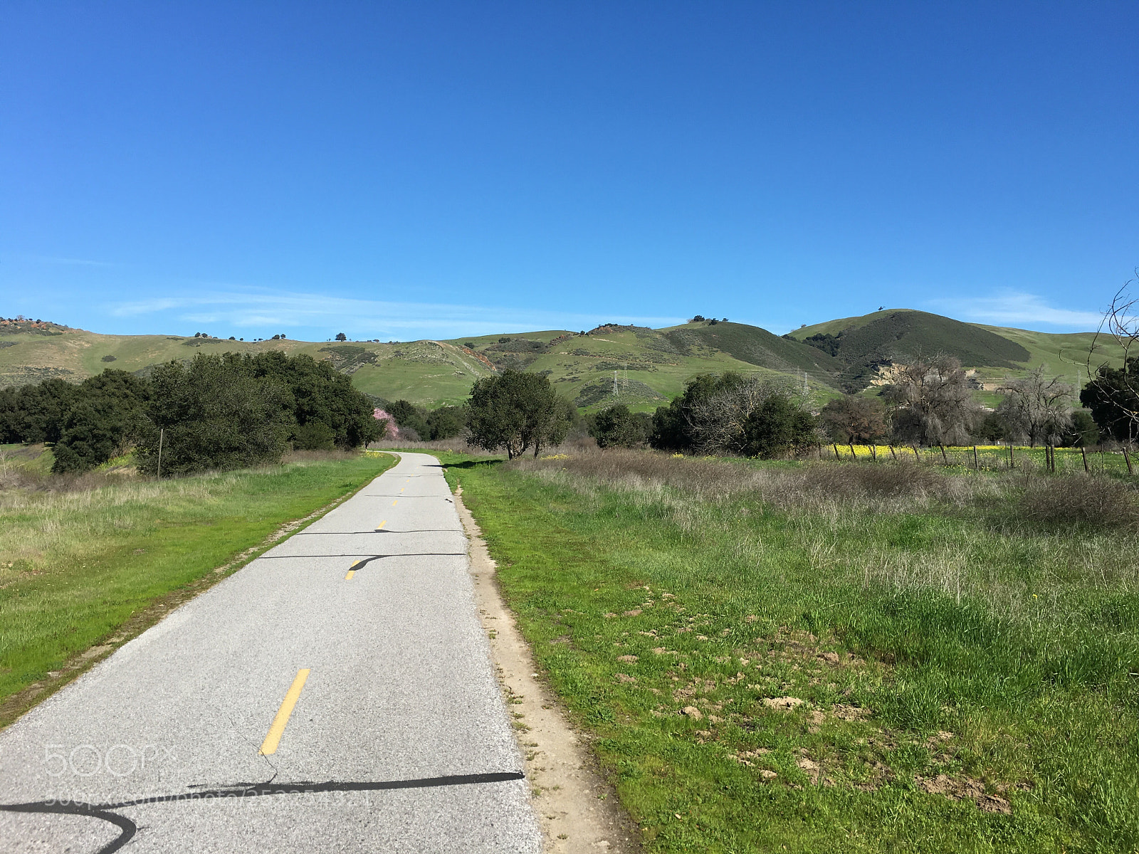 Apple iPhone 6s Plus sample photo. Coyote creek trail photography