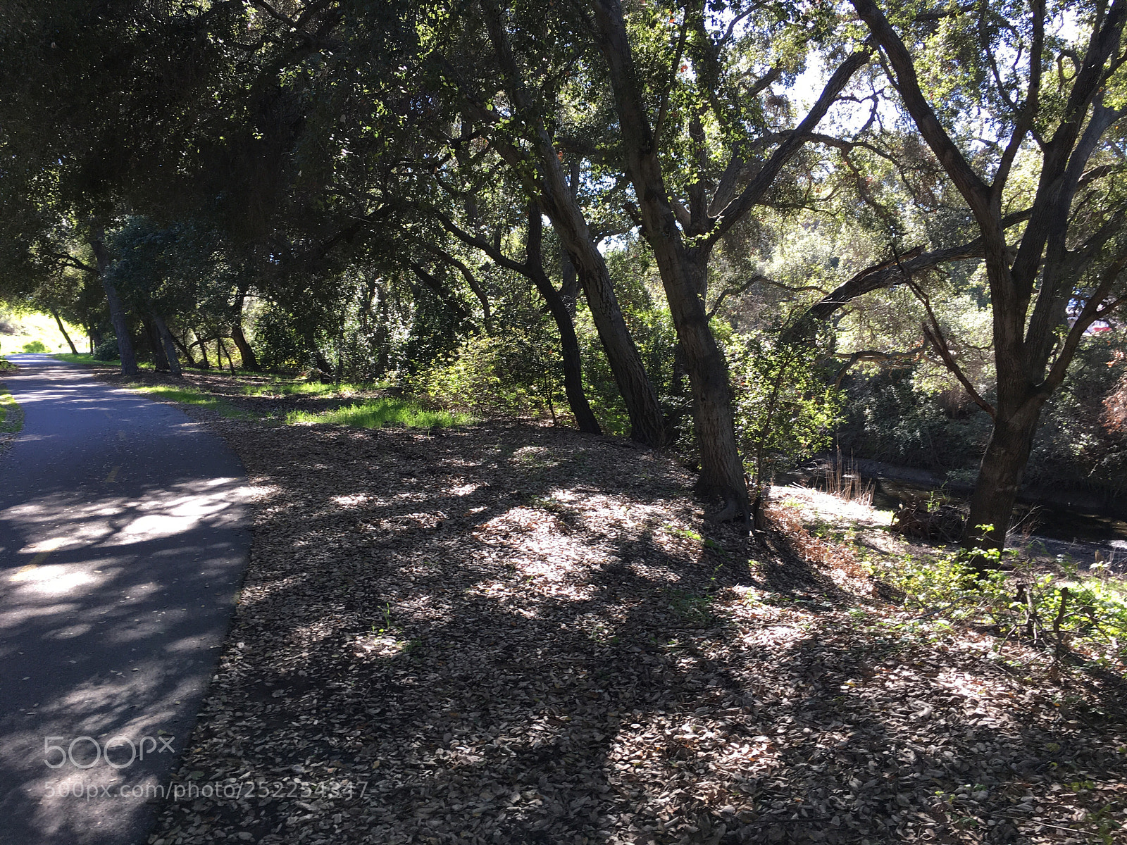Apple iPhone 6s Plus sample photo. Coyote creek trail photography