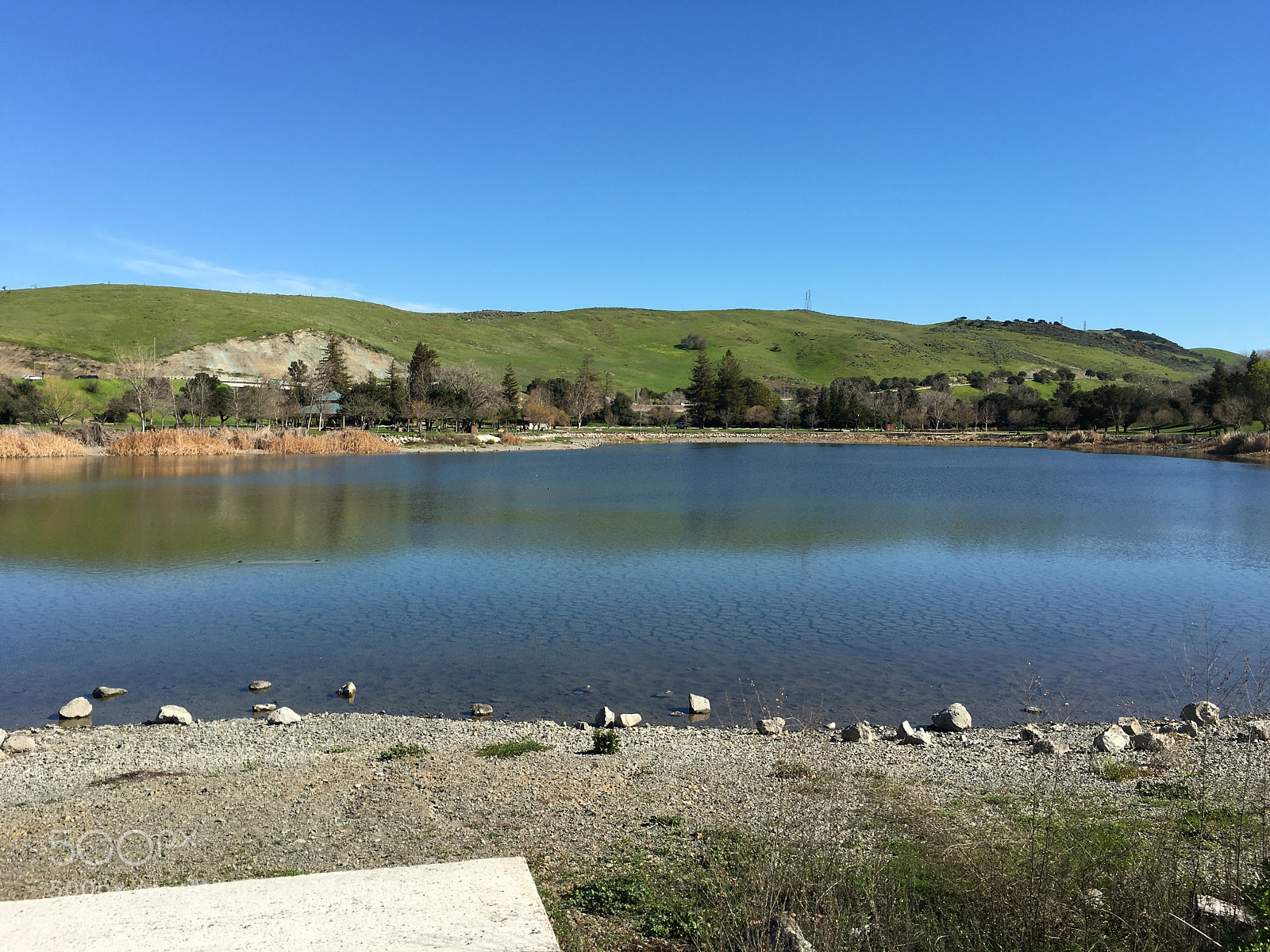 Apple iPhone 6s Plus sample photo. Hellyer county park lake photography