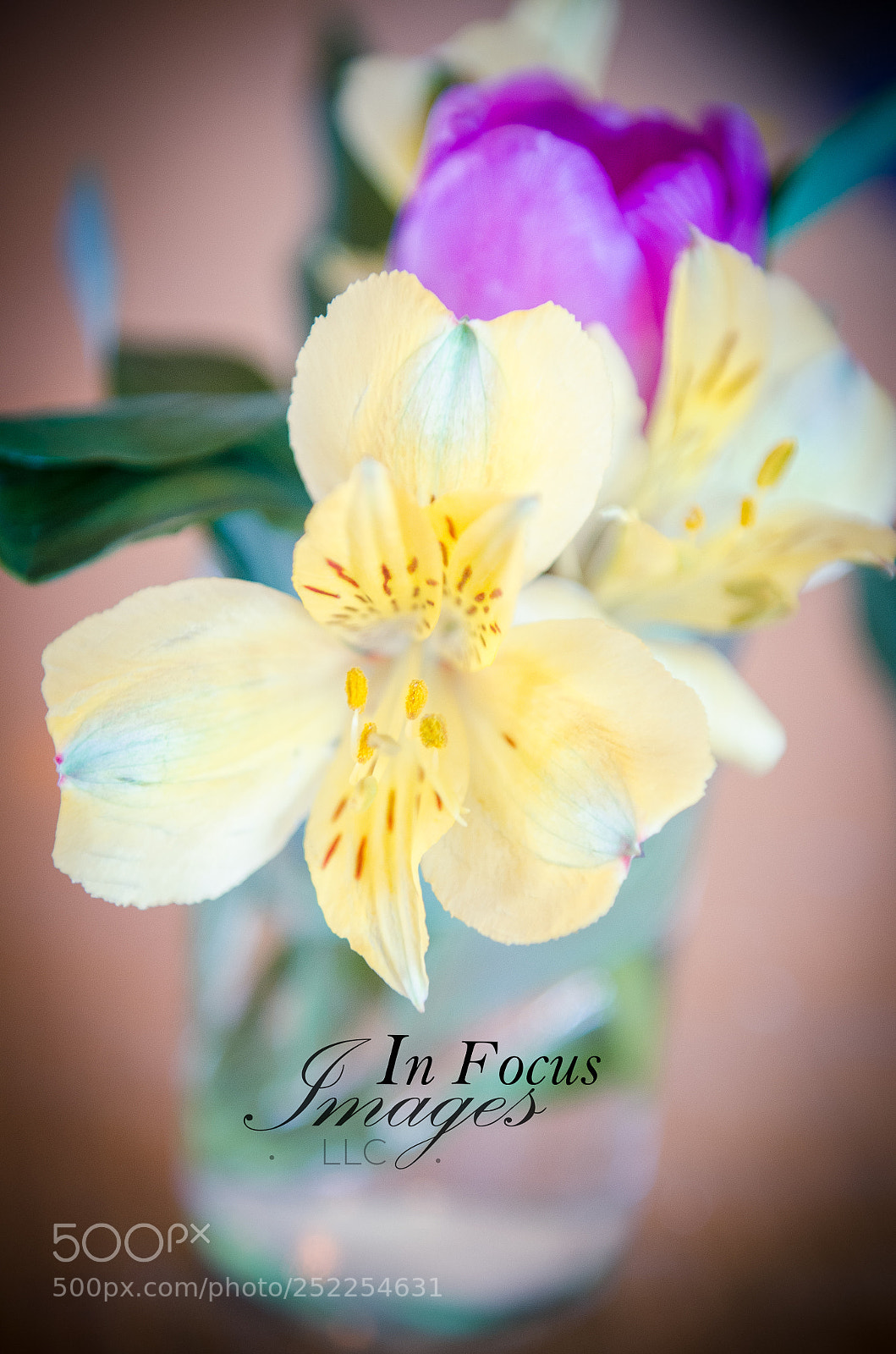 Nikon D5100 sample photo. Untitled photography