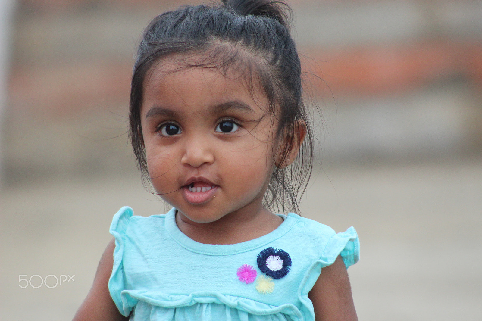 Canon EF 75-300mm f/4-5.6 sample photo. Img photography