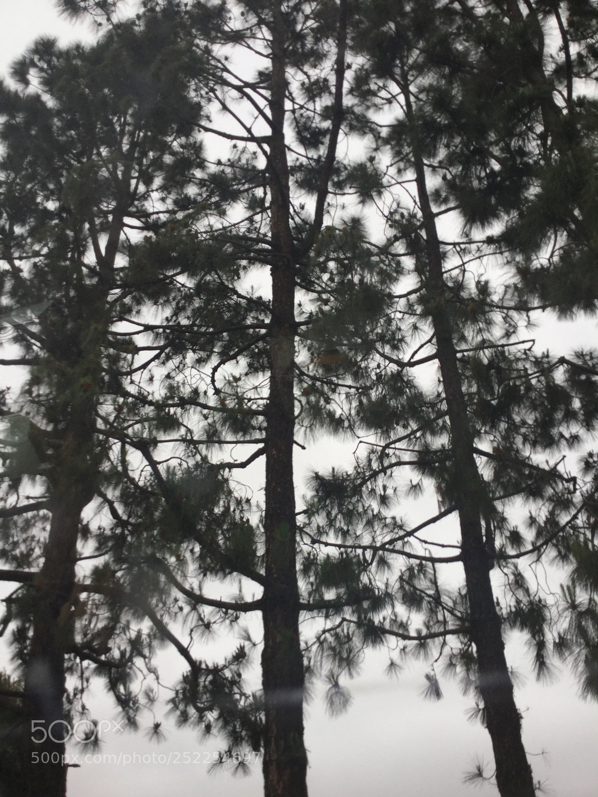 Apple iPod touch sample photo. Untitled photography