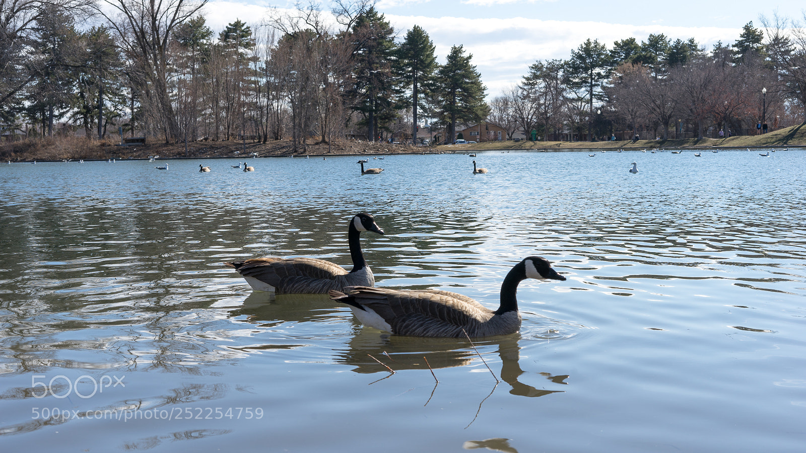 Sony a7 sample photo. *insert honk here* photography