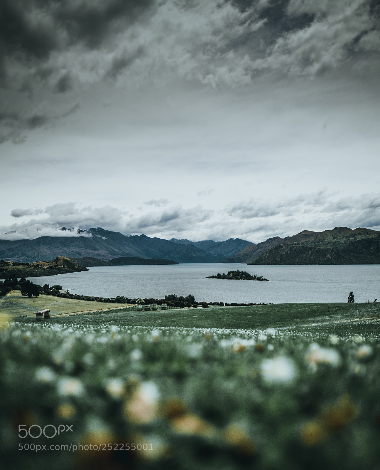 Fujifilm X-T2 sample photo. Rippon vineyard photography
