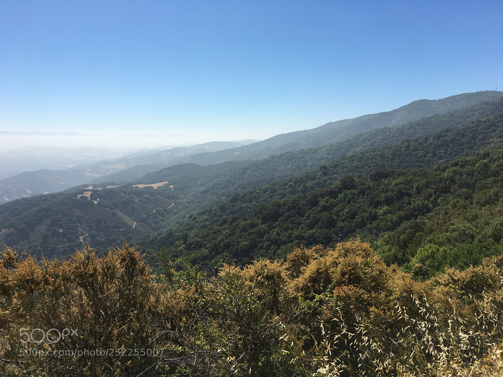 Apple iPhone 6s Plus sample photo. Kennedy trail - vista photography