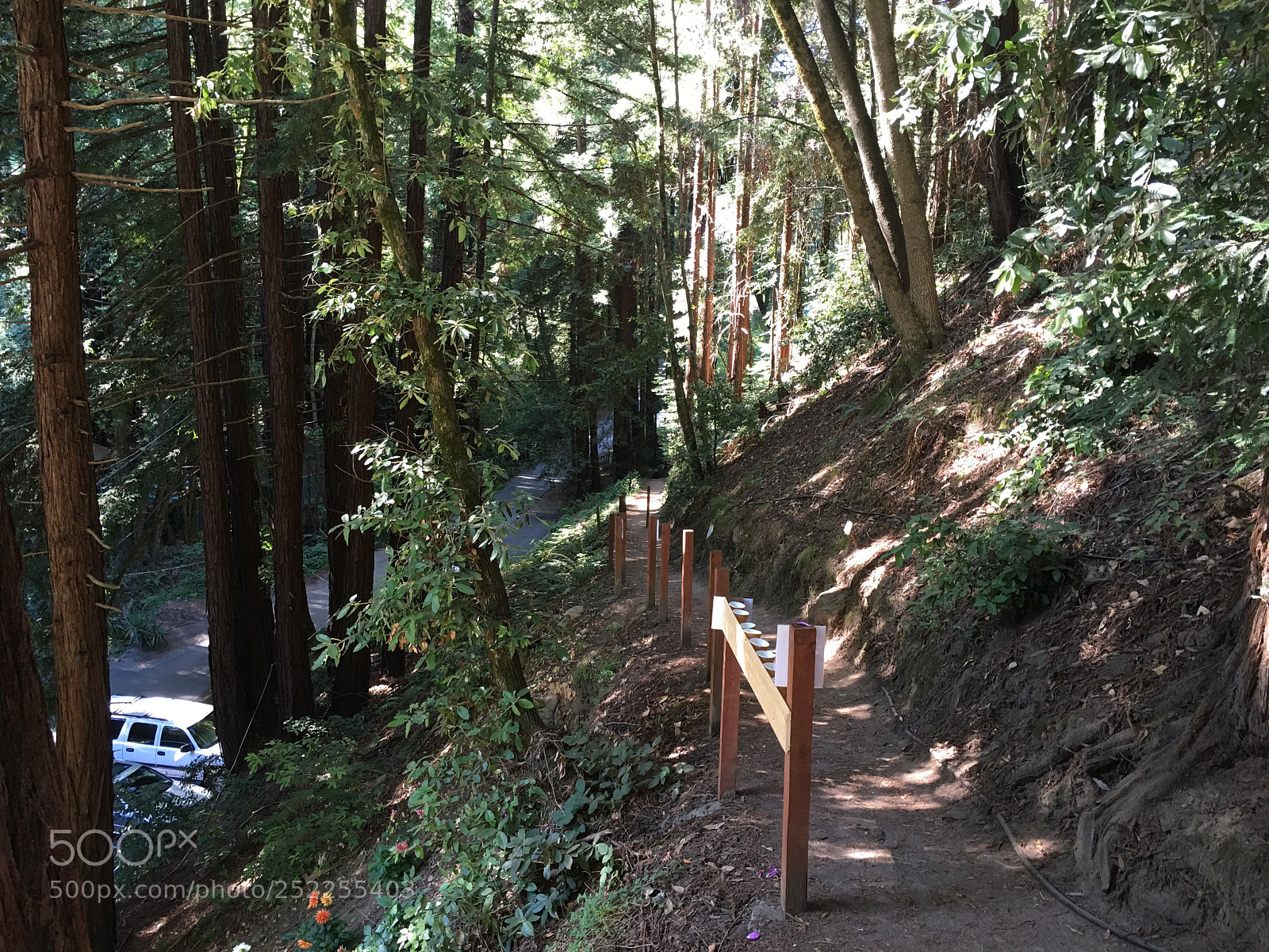 Apple iPhone 6s Plus sample photo. Trail down photography