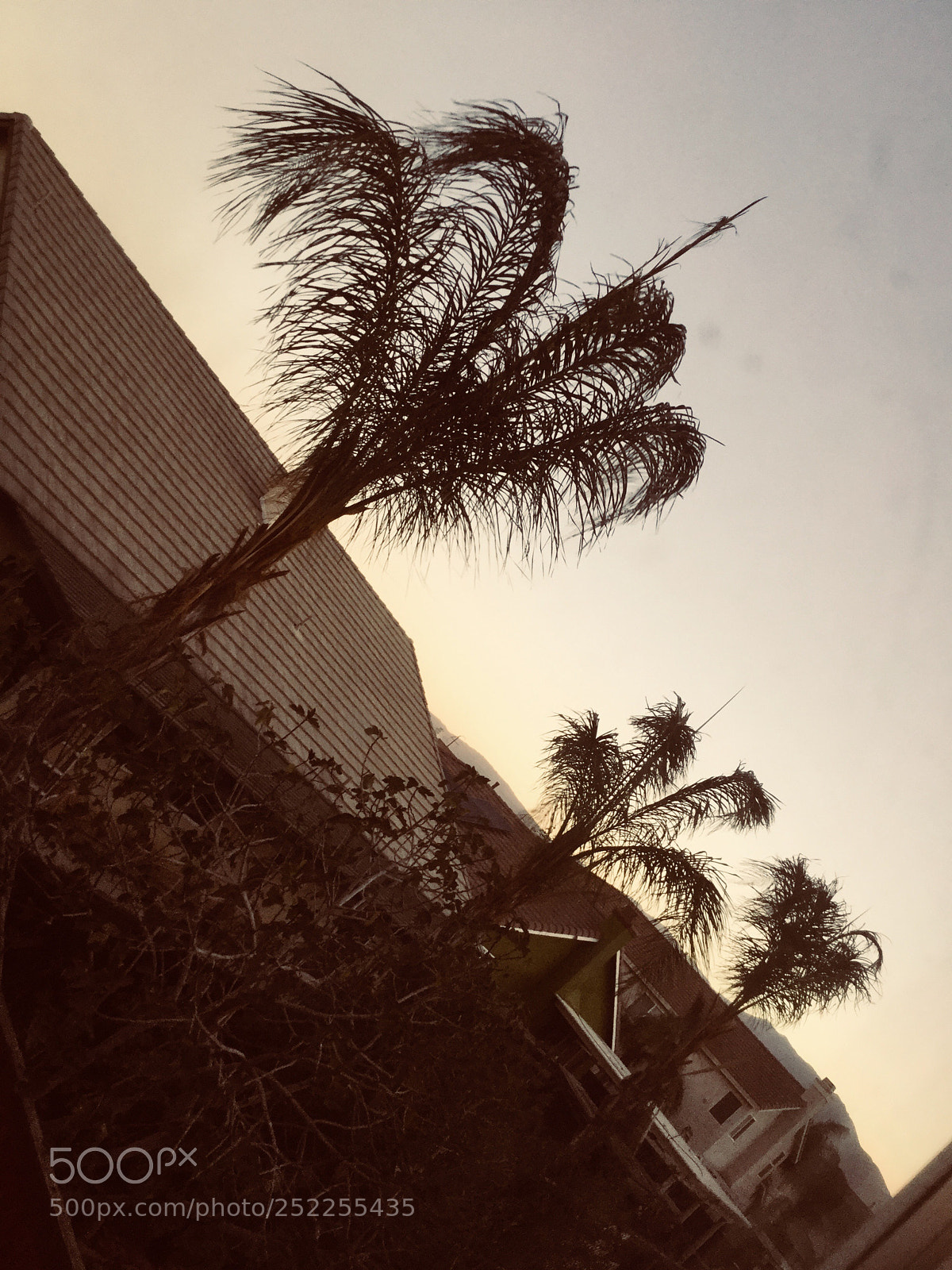 Apple iPod touch sample photo. Untitled photography