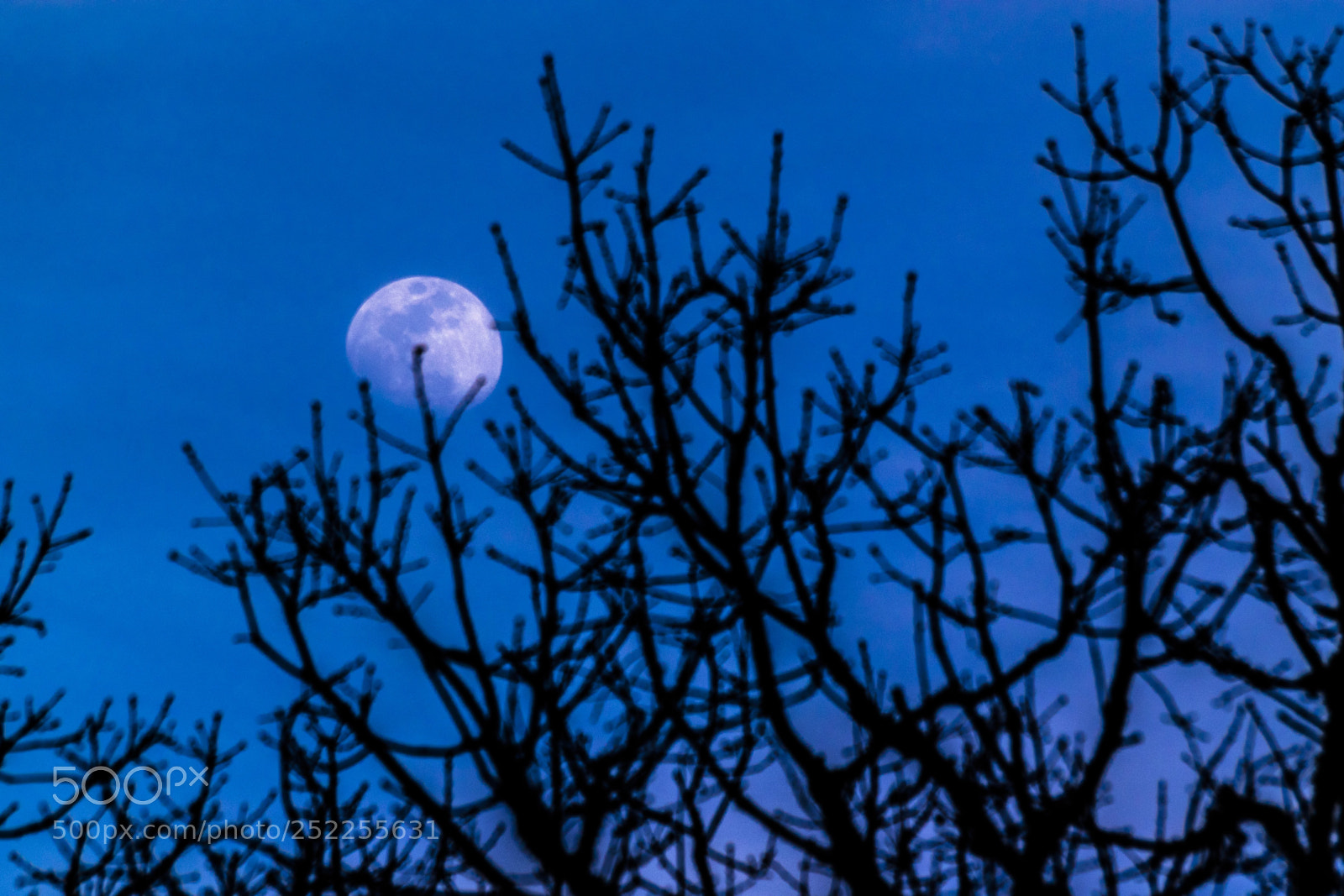 Nikon D3300 sample photo. La luna en las photography
