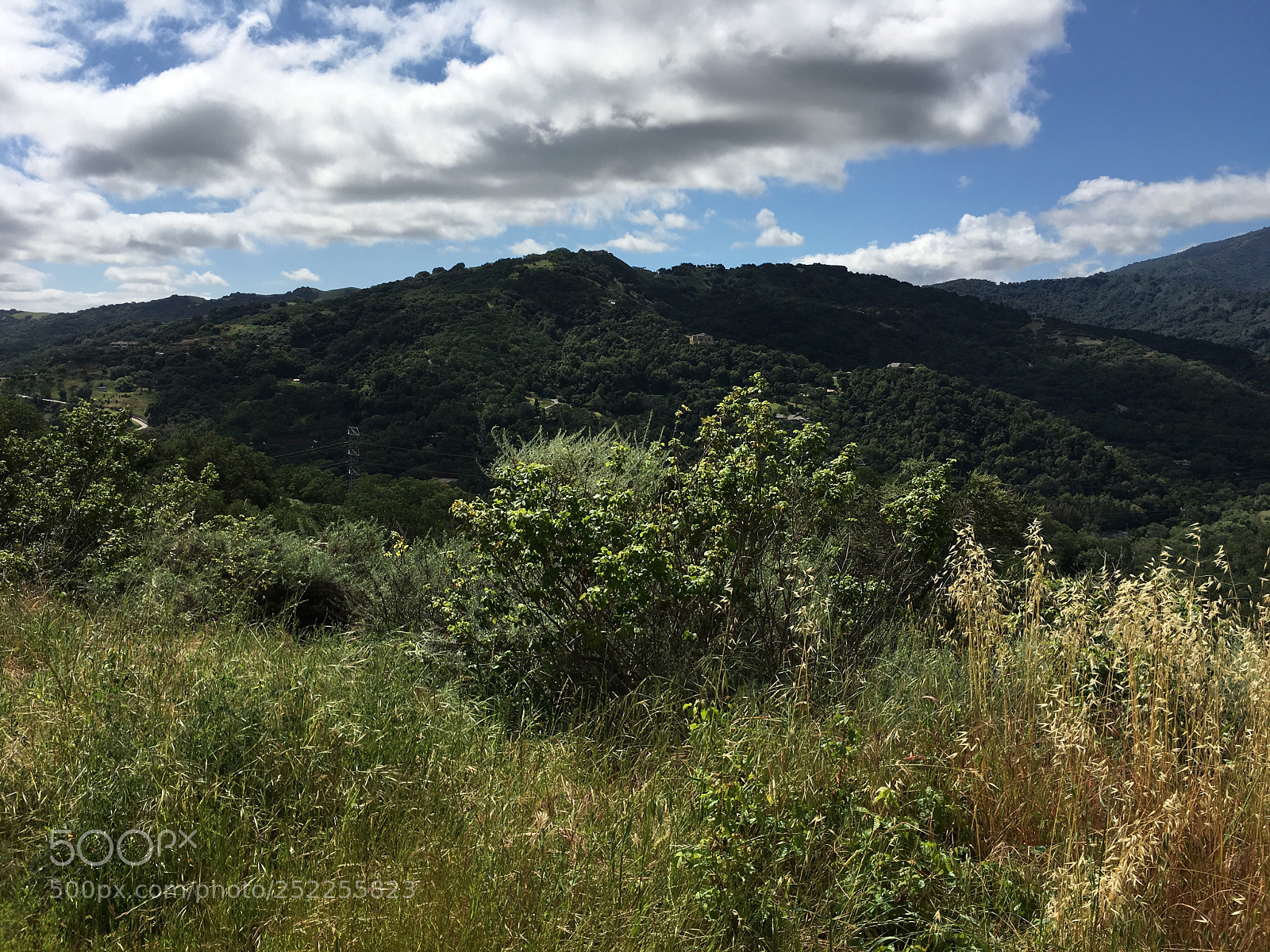 Apple iPhone 6s Plus sample photo. Hacienda trail - vista photography