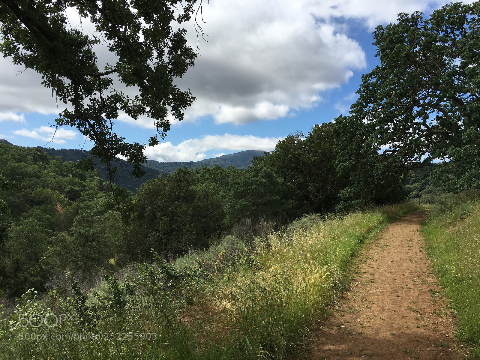 Apple iPhone 6s Plus sample photo. Virl o. norton trail photography