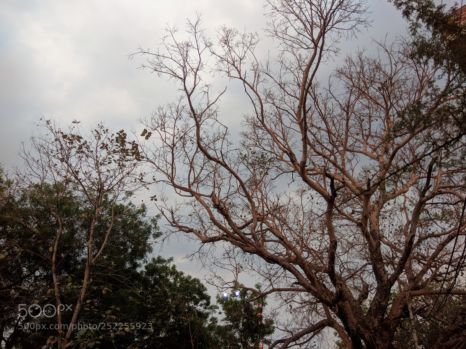 Xiaomi Redmi Note 4 sample photo. Untitled photography