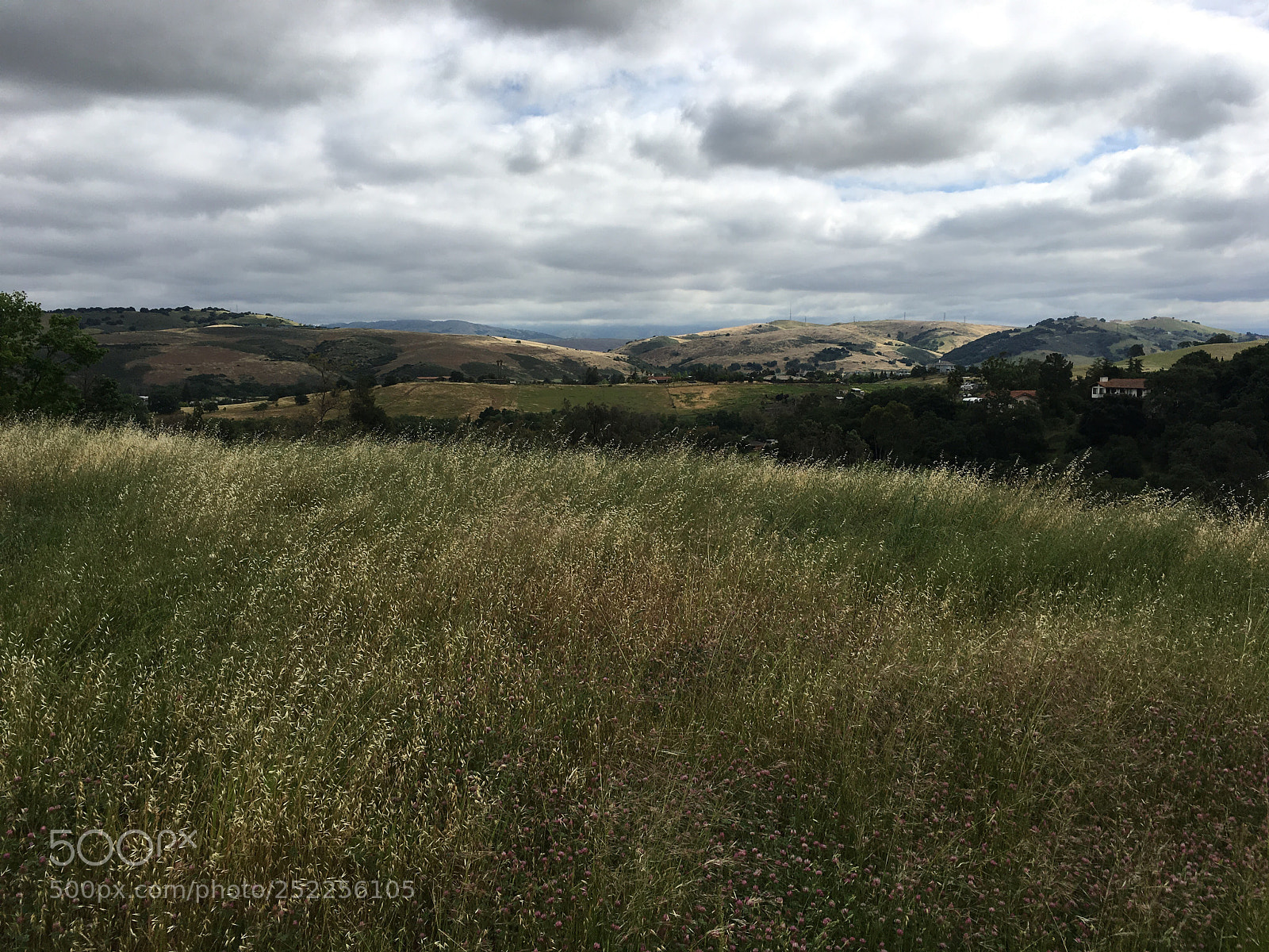 Apple iPhone 6s Plus sample photo. Virl o. norton trail photography