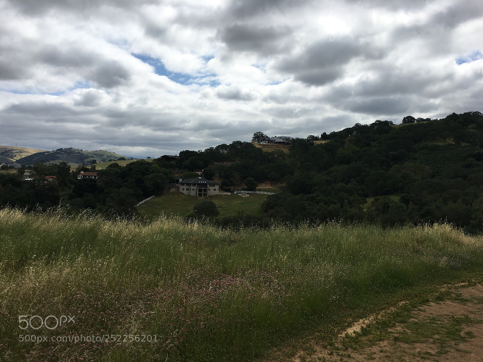 Apple iPhone 6s Plus sample photo. Virl o. norton trail photography