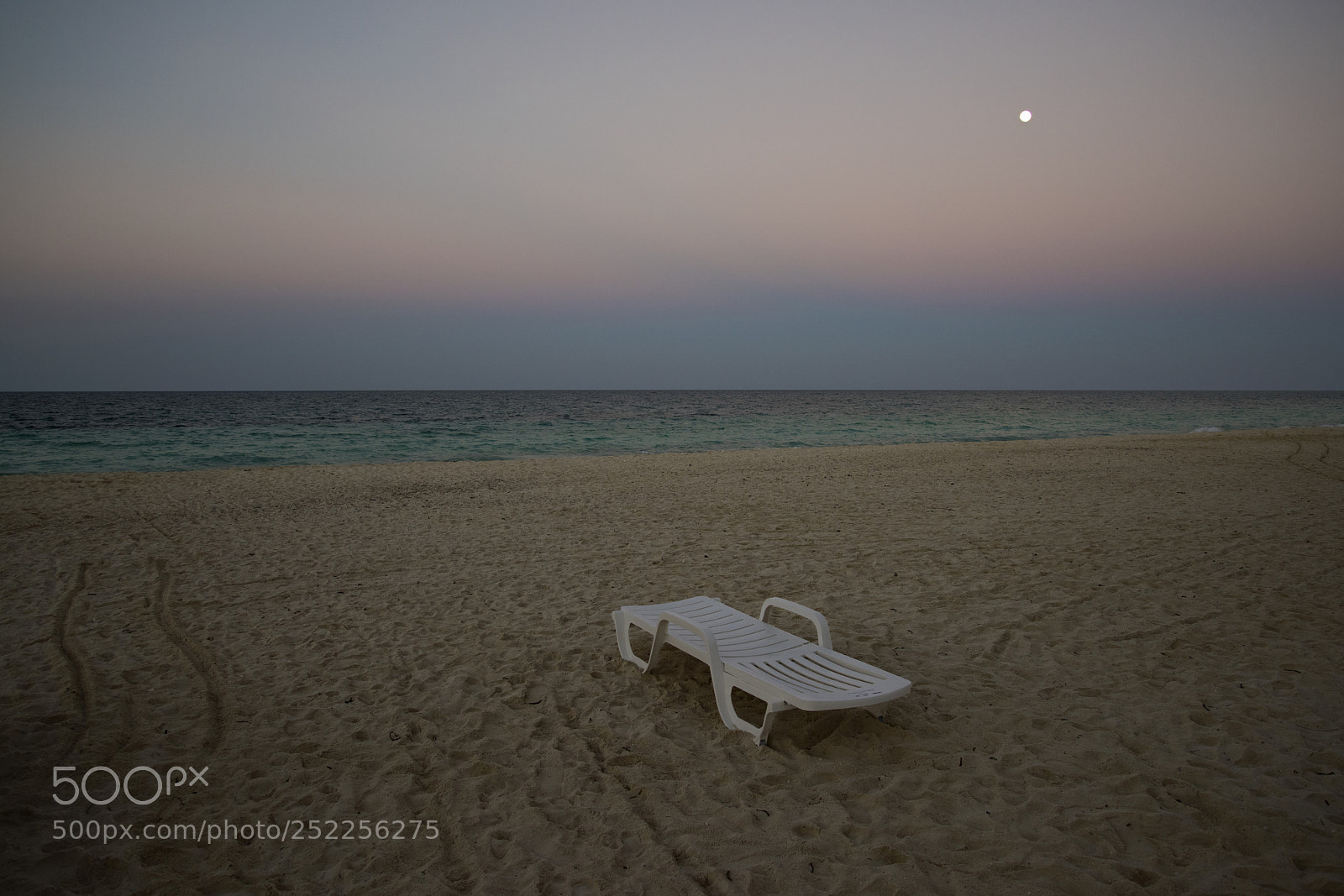 Nikon D810 sample photo. Untitled photography