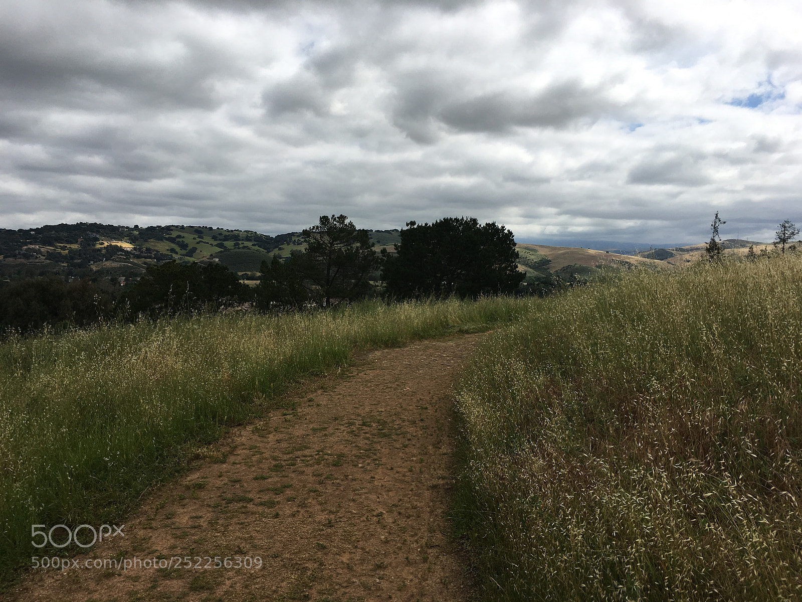 Apple iPhone 6s Plus sample photo. Virl o. norton trail photography