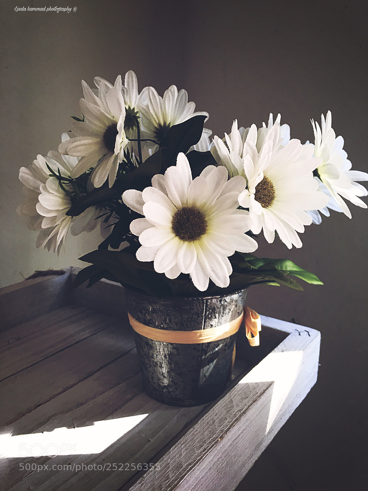 Apple iPhone 6s sample photo. Untitled photography