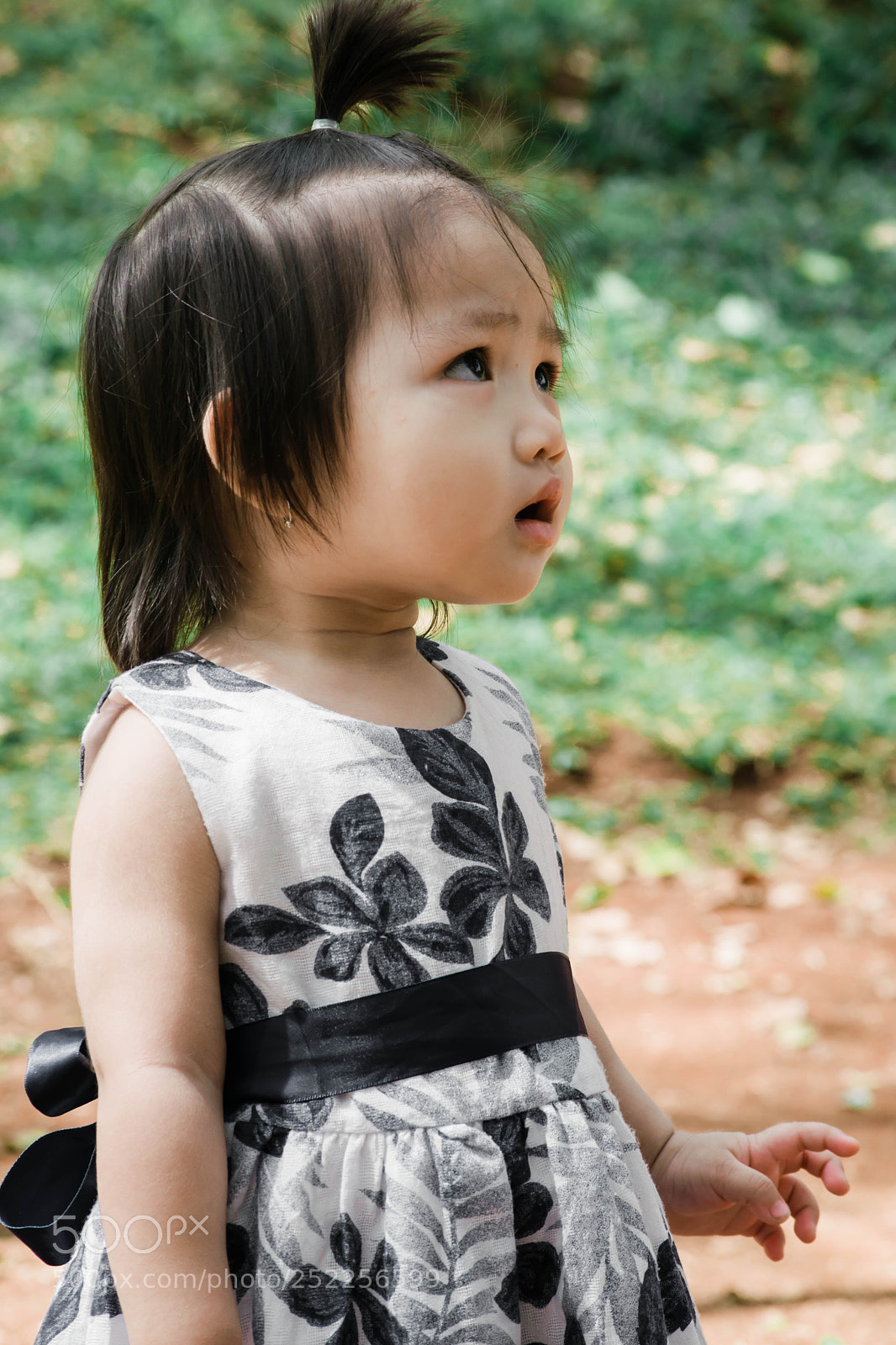 Nikon D5300 sample photo. Suri photography