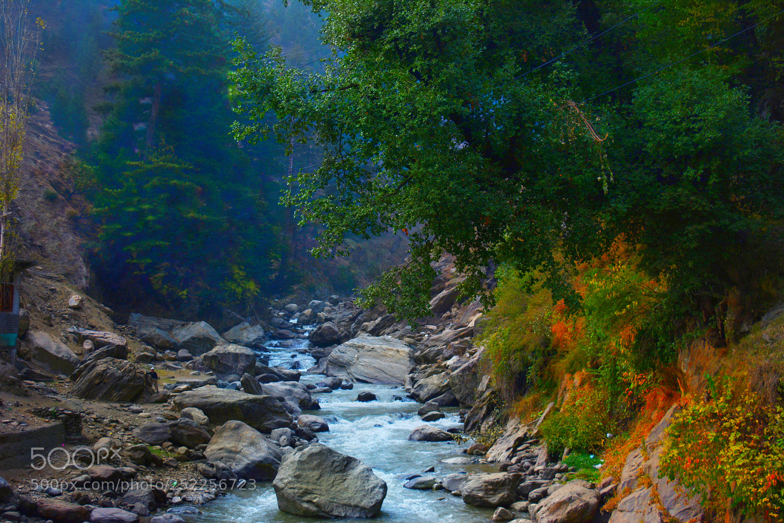 Nikon D5200 sample photo. Untitled photography