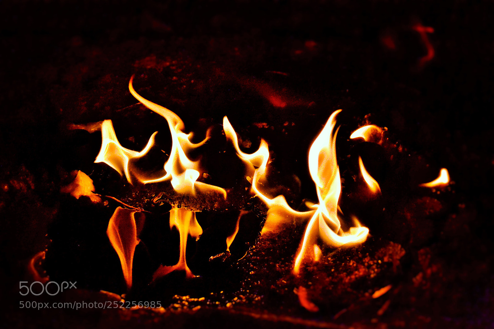 Nikon D3100 sample photo. Danza de fuego photography